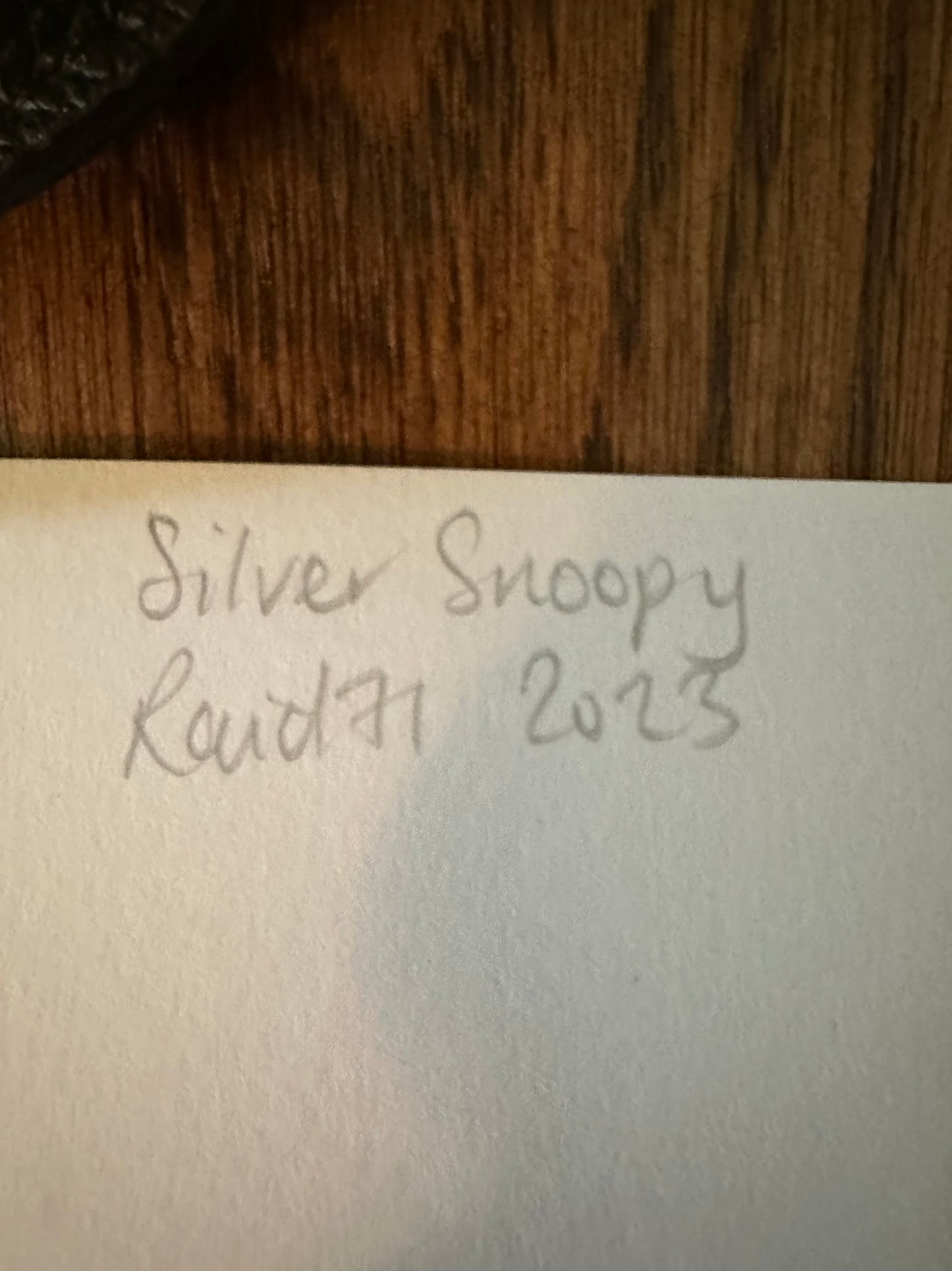 Raid71 - Silver Snoopy Foil 18x18 movie poster - detail image 6