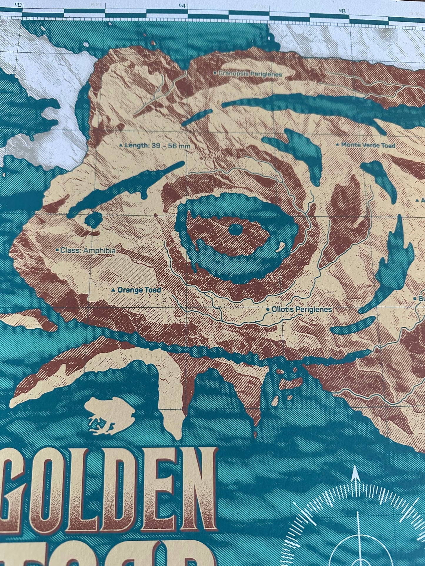Anthony Petrie – Golden Toad Map, 18 x 24 in, art print, image 5