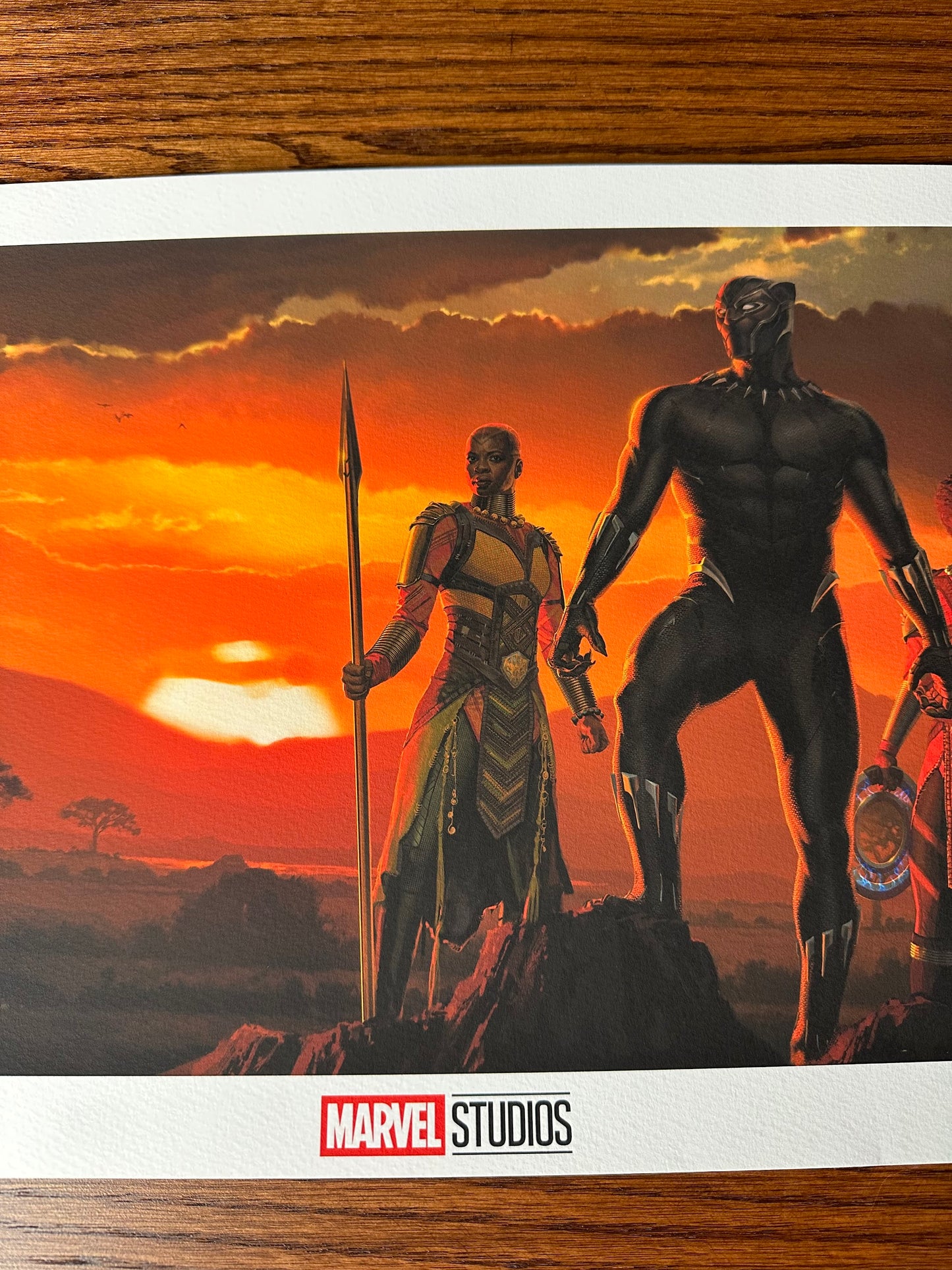 Ryan Meinerding – Marvel Black Panther Wakanda King, 24 x 11.5 in, art print, image 3