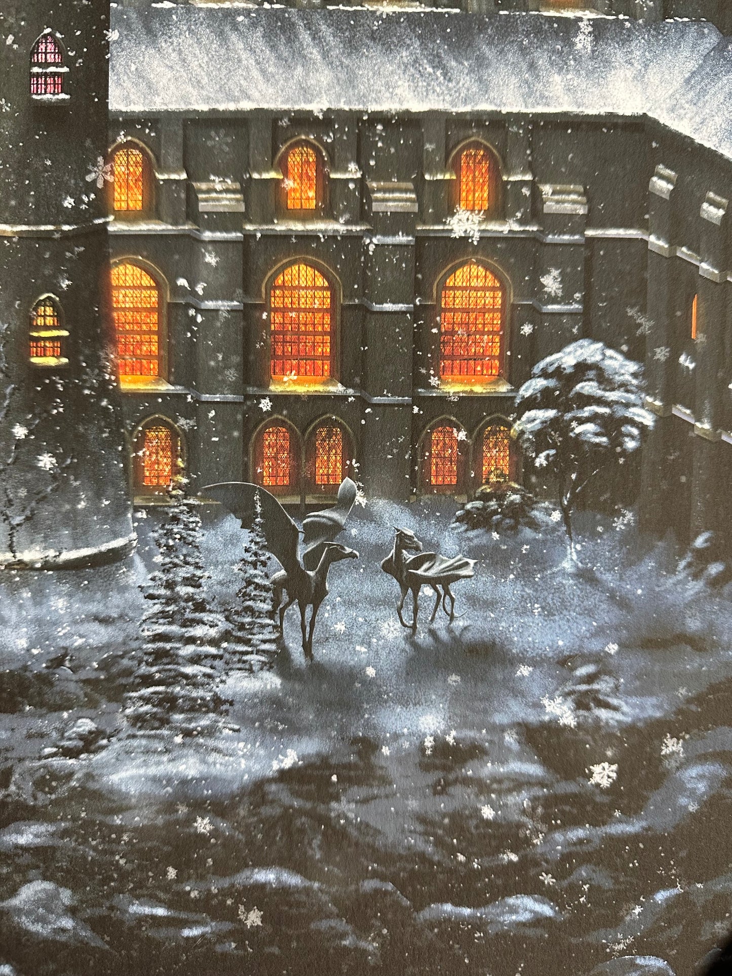 Ben Harman – Harry Potter and the Order of the Phoenix, 12 x 36 in, art print, image 6