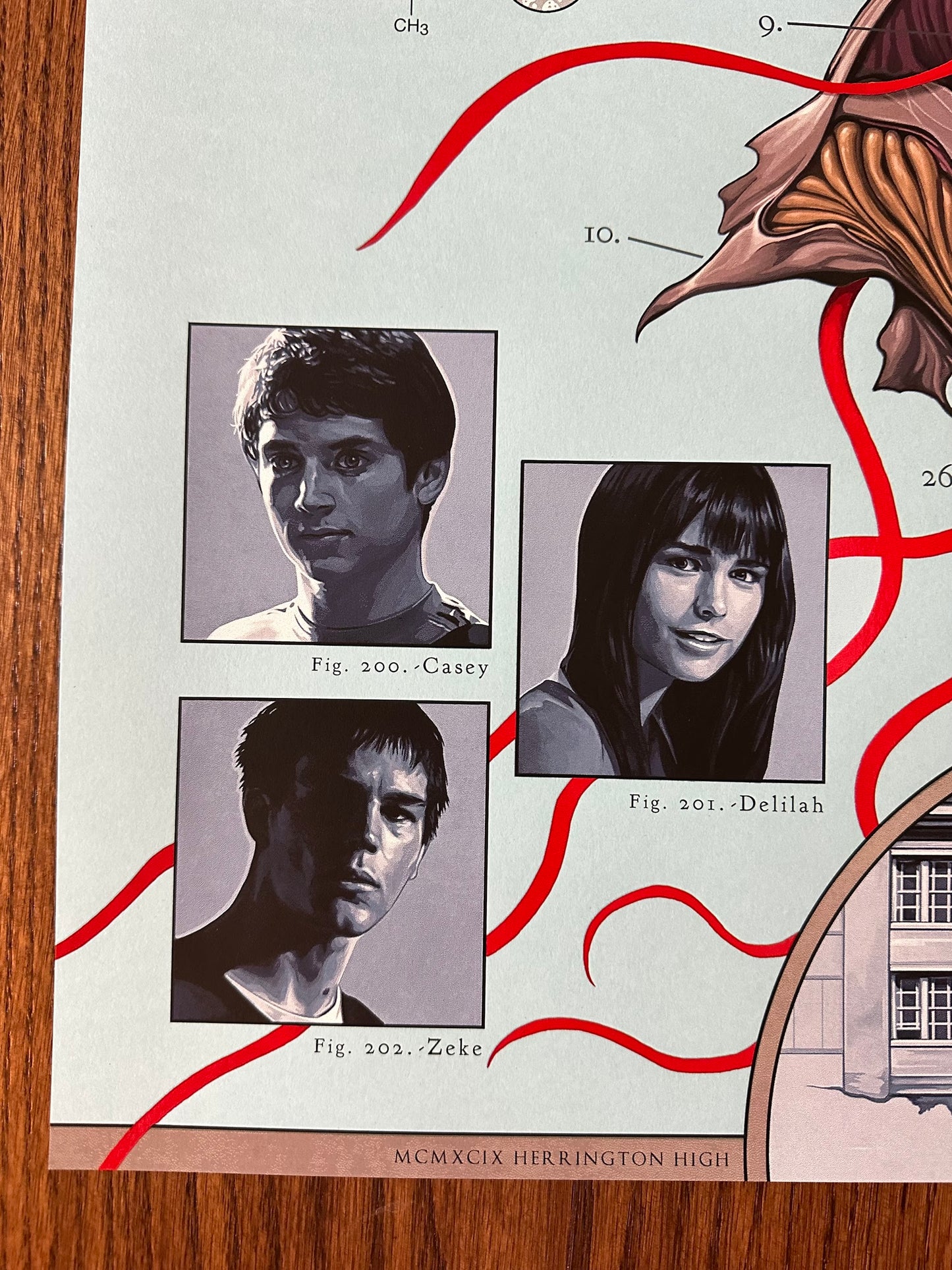David Seidman – The Faculty, 24 x 36 in, poster, image 5