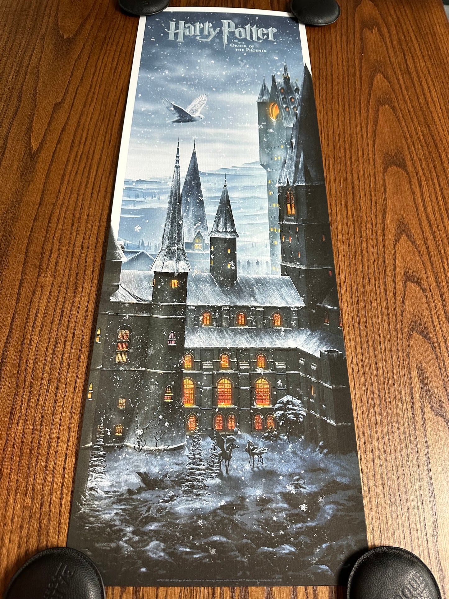 Ben Harman – Harry Potter and the Order of the Phoenix, 12 x 36 in, art print