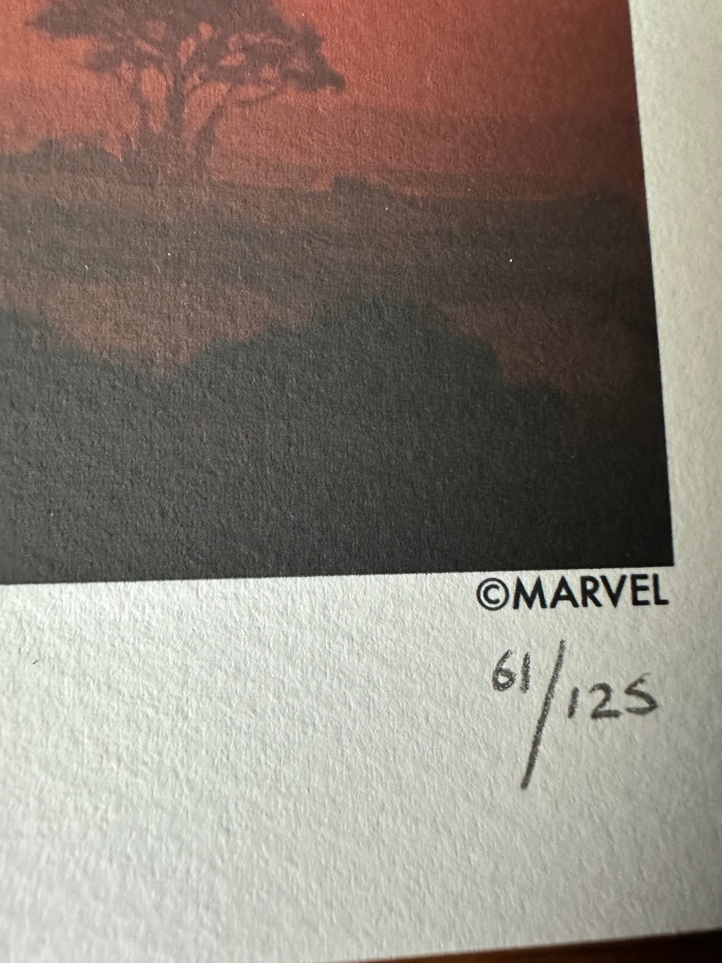 Ryan Meinerding – Marvel Black Panther Wakanda King, 24 x 11.5 in, art print, image 5