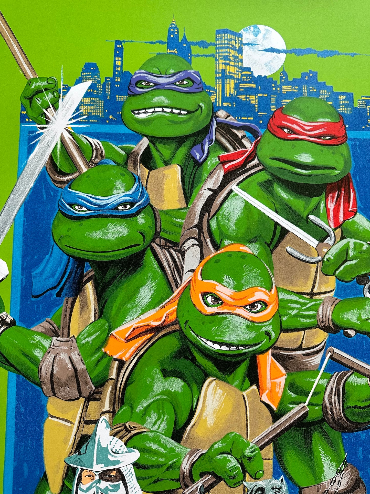 Paul Mann – Teenage Mutant Ninja Turtles Green Variant, 24 x 36 in, poster, image 5