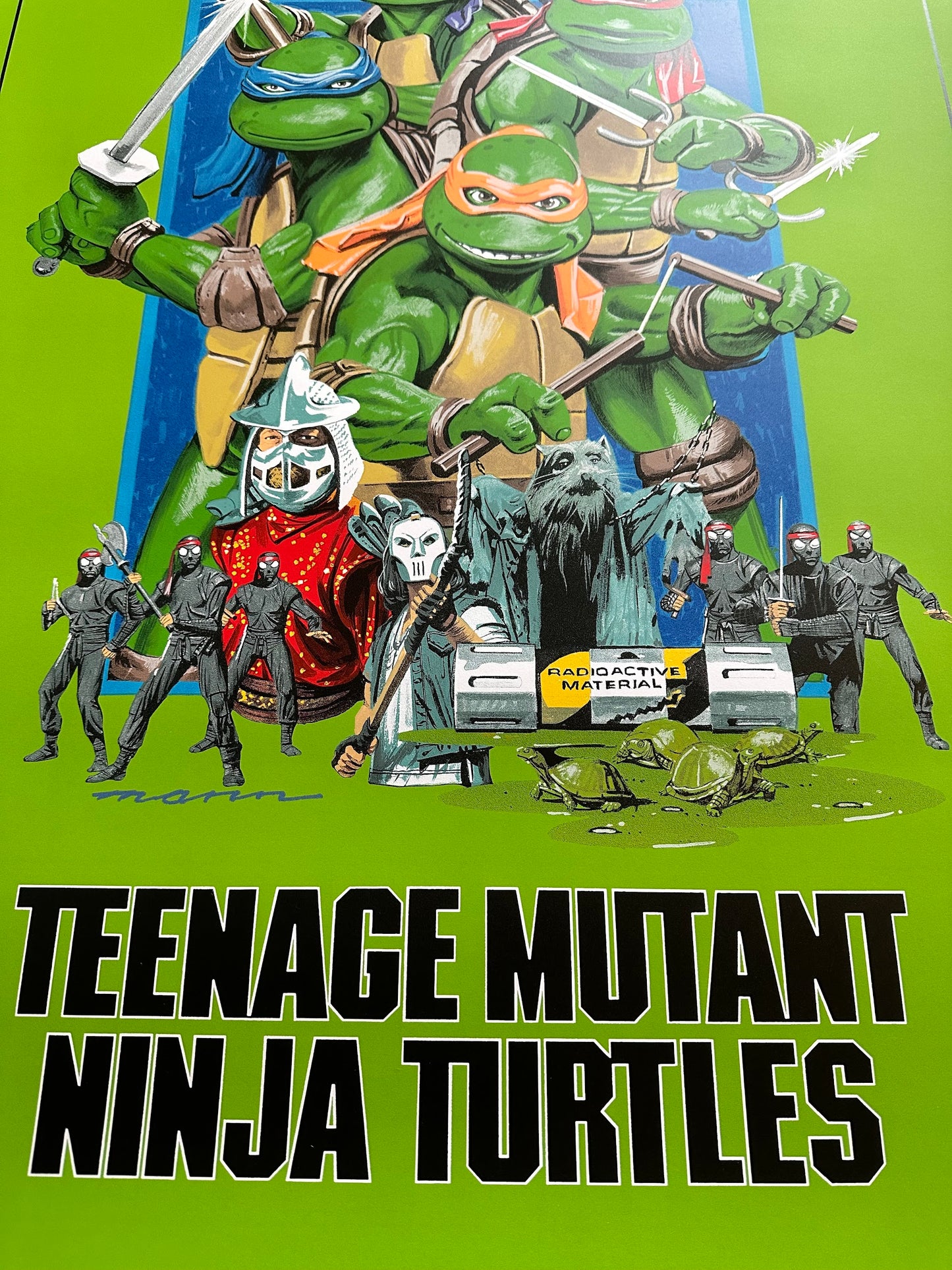 Paul Mann – Teenage Mutant Ninja Turtles Green Variant, 24 x 36 in, poster, image 2