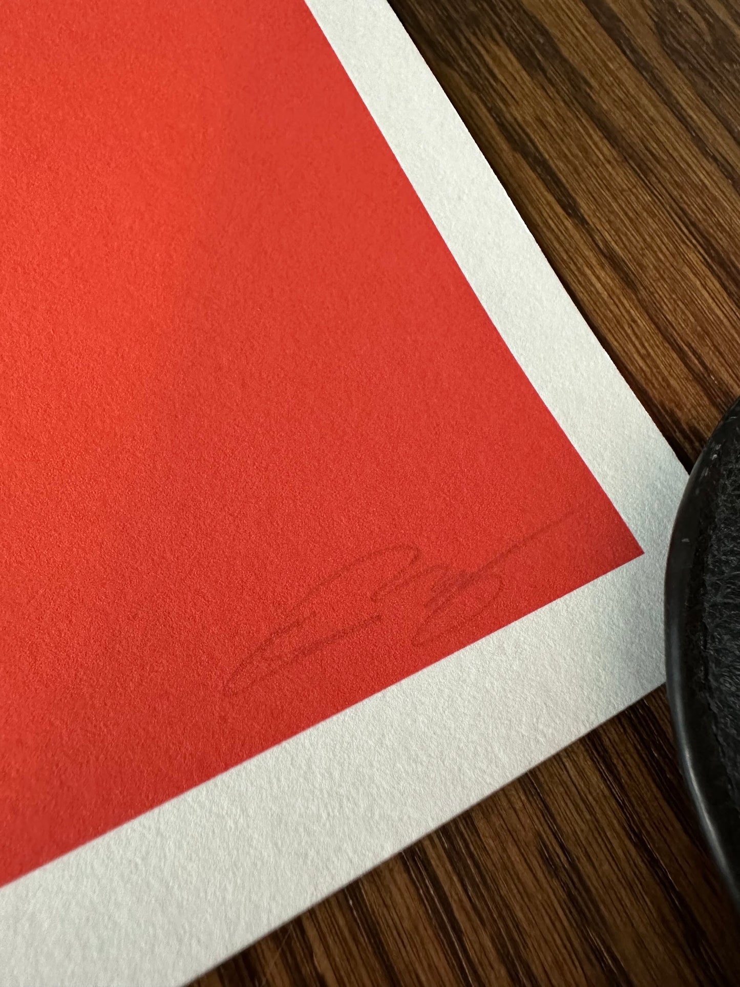 Raid71 - The Simpsons Homer X-Ray 10x10 art print - detail image 4