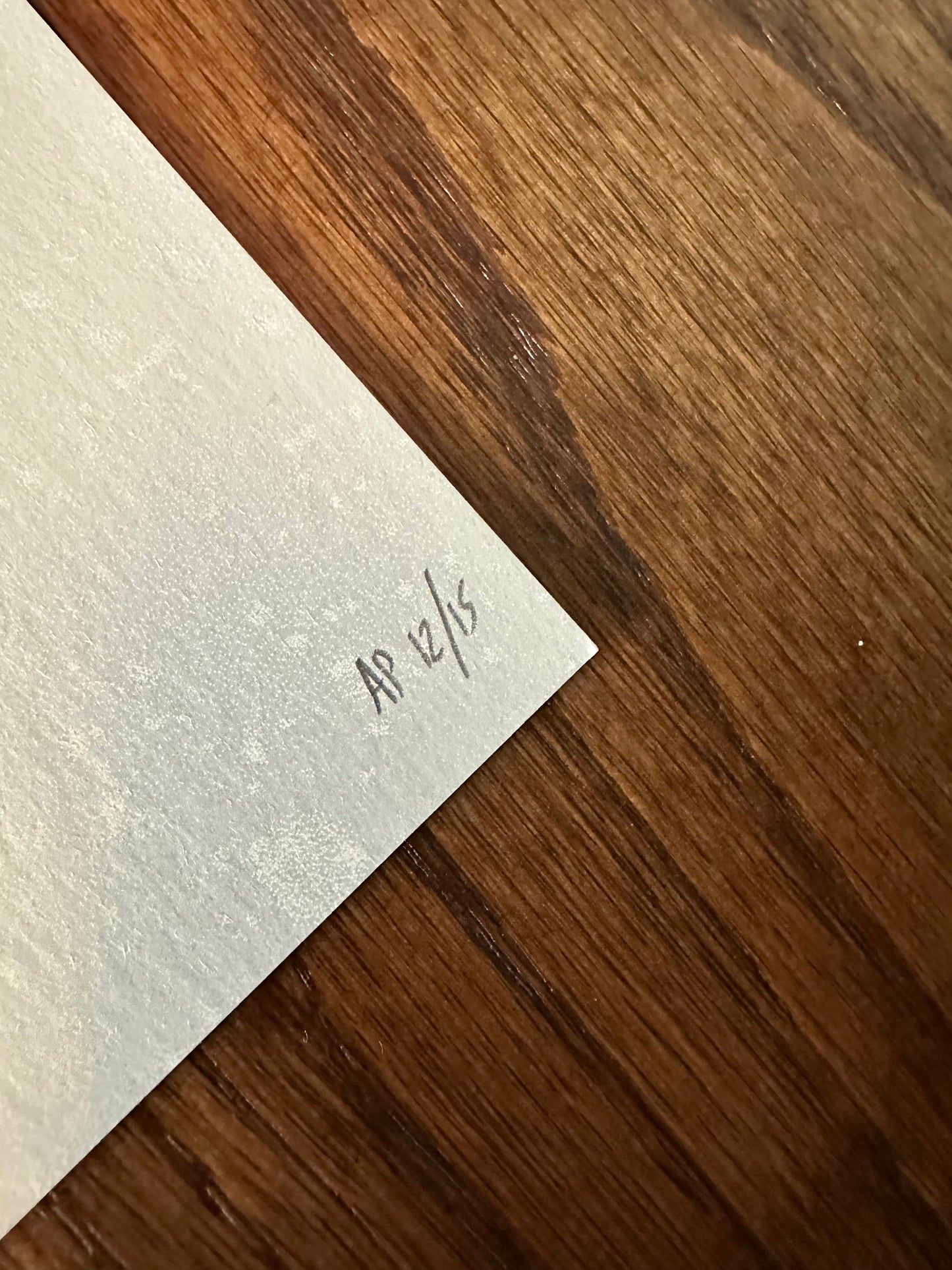 AJ Frena - The Revenant 24x36 movie poster - detail image 8