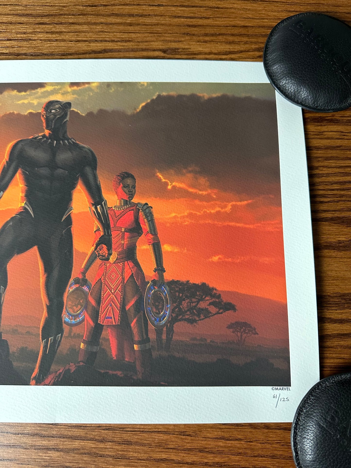 Ryan Meinerding – Marvel Black Panther Wakanda King, 24 x 11.5 in, art print, image 4