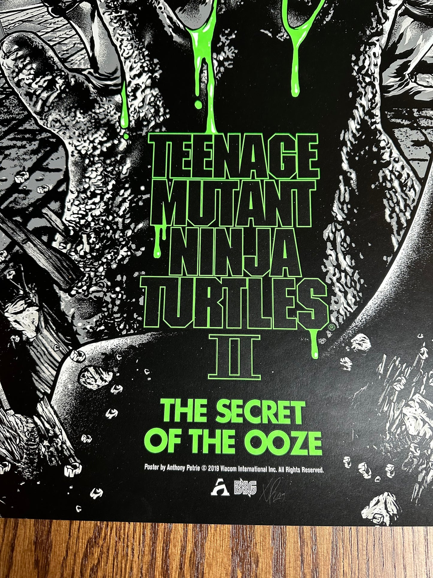 Anthony Petrie – Teenage Mutant Ninja Turtles 2 Variant, 24 x 36 in, poster, image 6