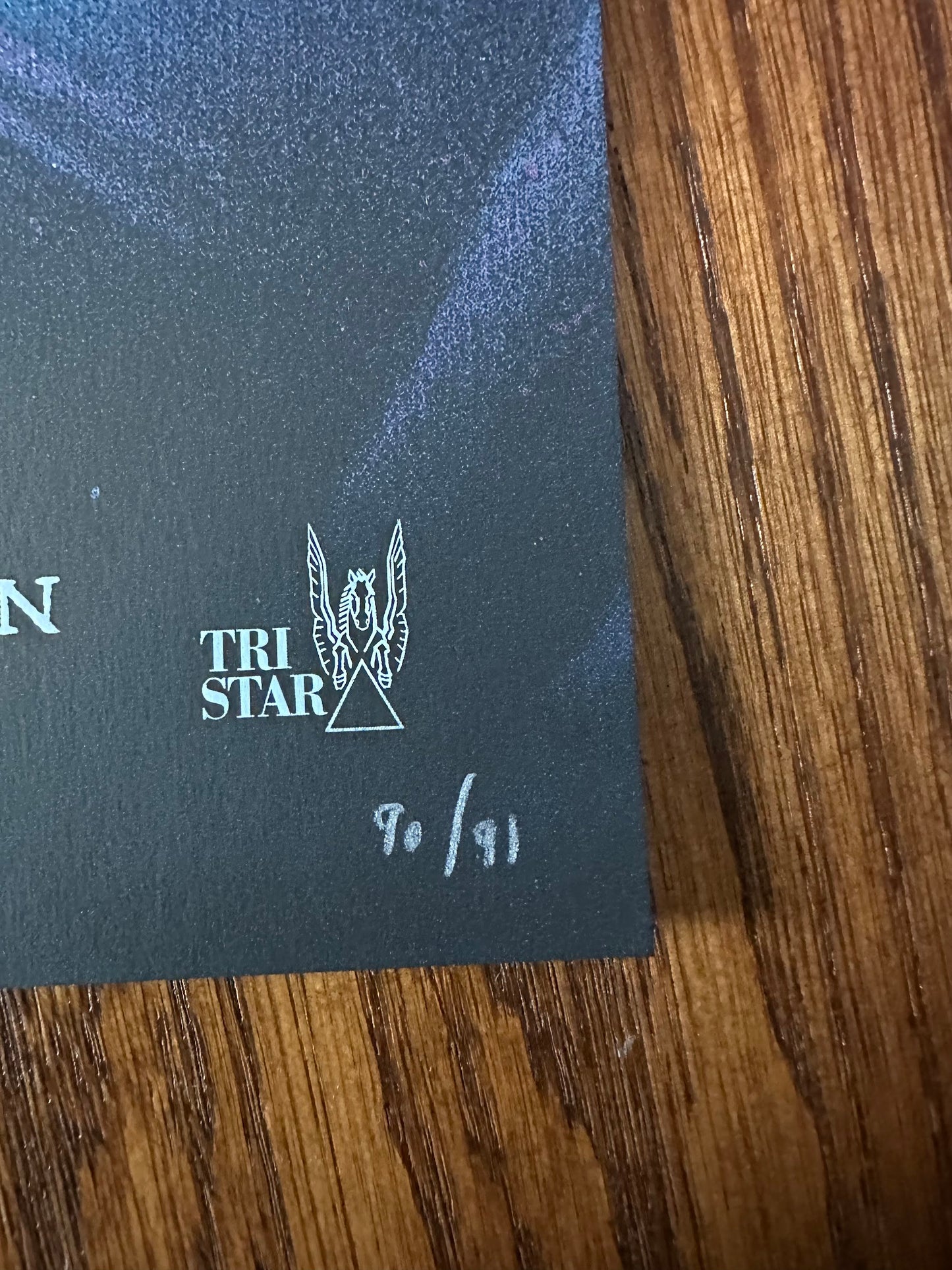 Steve Chorney - Hook 24x36 movie poster - detail image 6