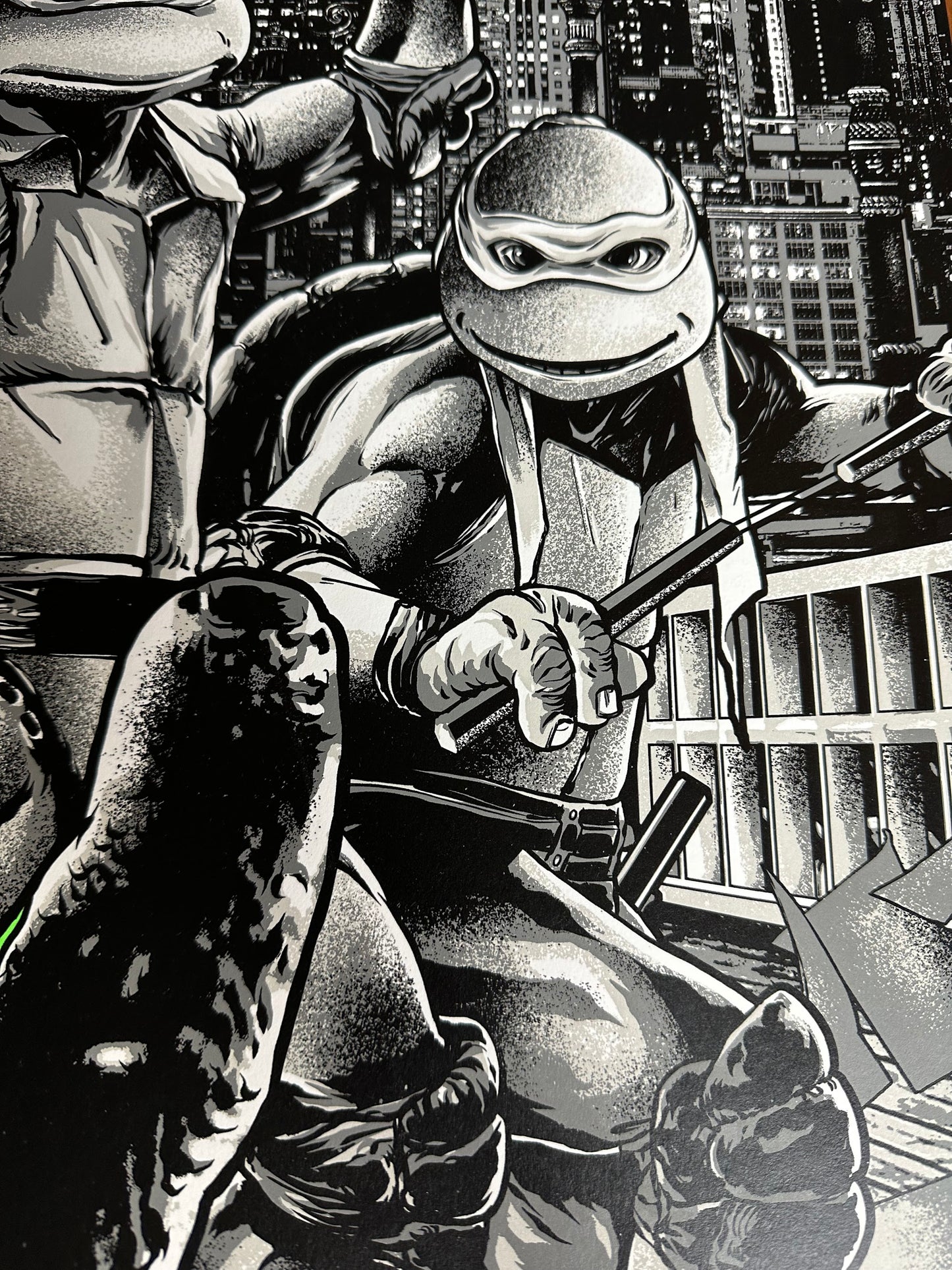 Anthony Petrie – Teenage Mutant Ninja Turtles 2 Variant, 24 x 36 in, poster, image 4