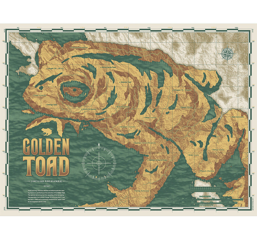 Anthony Petrie – Golden Toad Map, 18 x 24 in, art print, image 7