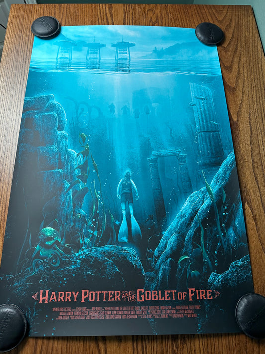Kevin Wilson – Harry Potter & The Goblet of Fire, 24 x 36 in, poster