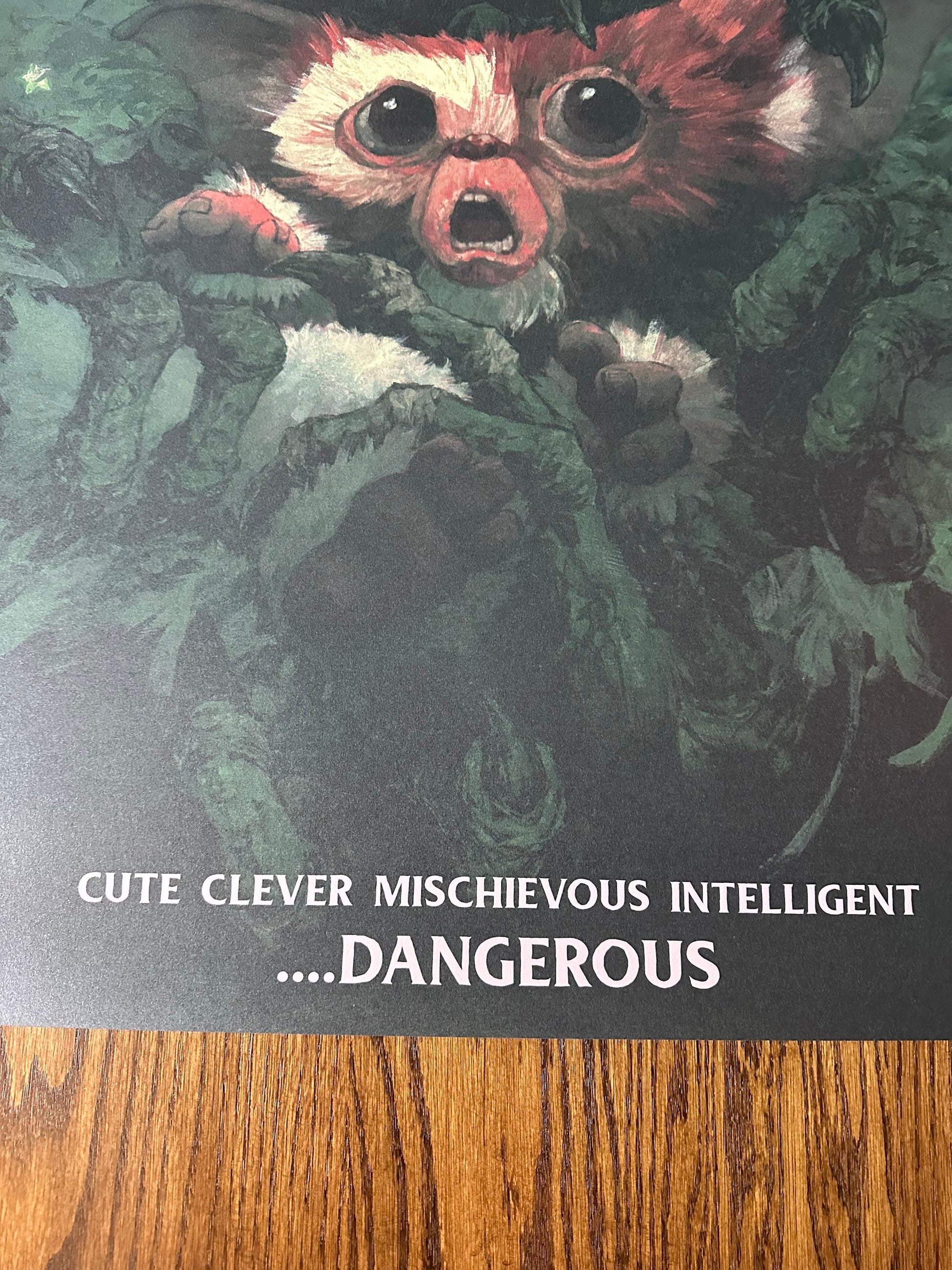 Hans Woody – Gremlins, 24 x 36 in, poster, image 4