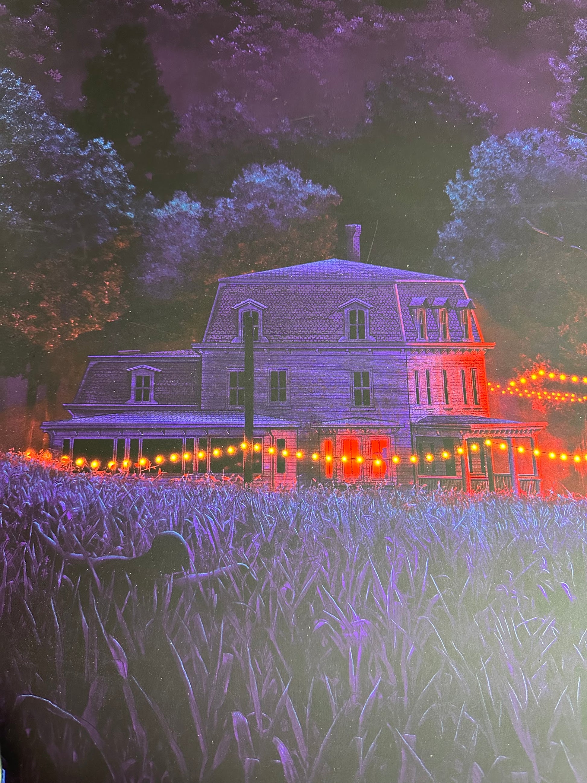 Mike Saputo – The Quiet Place, 24 x 36 in, poster, image 2