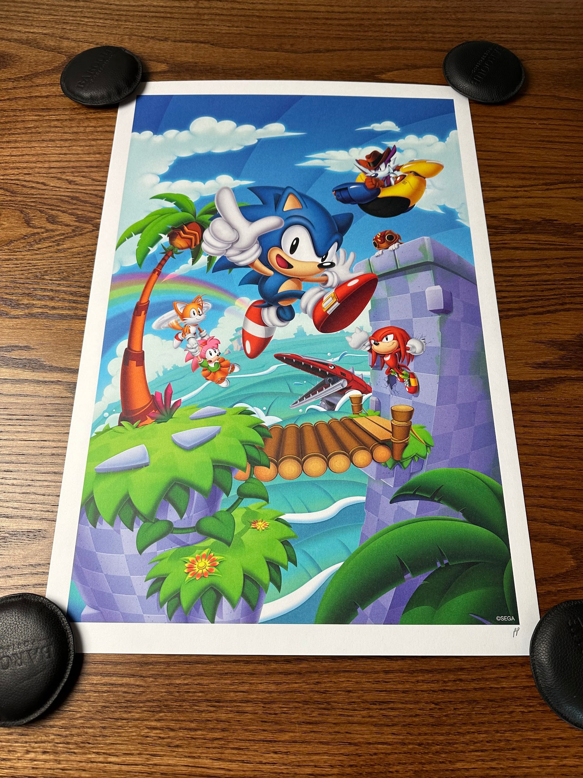 Mark Hughes – Sonic Superstars, 16 x 24 in, art print