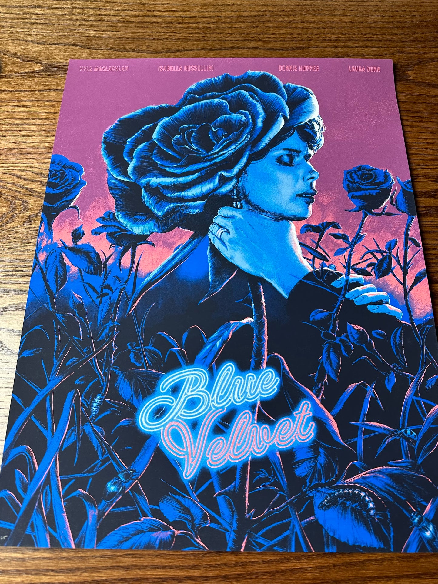 Juan Esteban – Blue Velvet, 18 x 24 in, art print