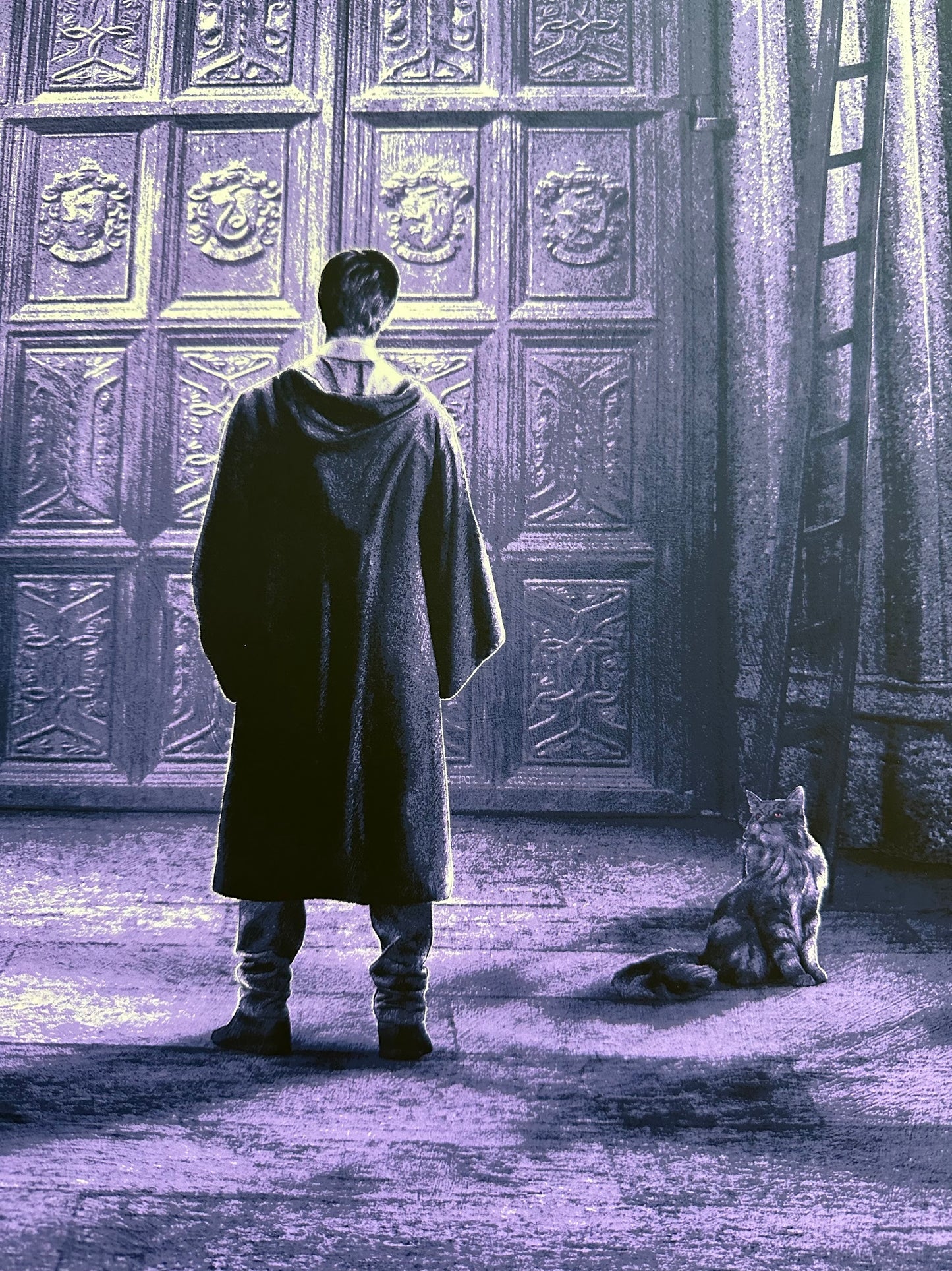 Kevin Wilson – Harry Potter and the Order of the Phoenix, 24 x 36 in, poster