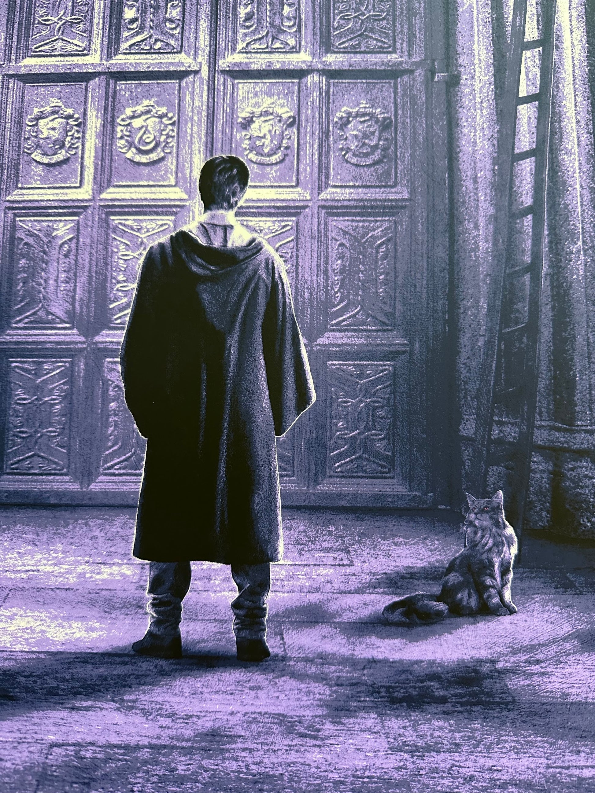Kevin Wilson – Harry Potter and the Order of the Phoenix, 24 x 36 in, poster