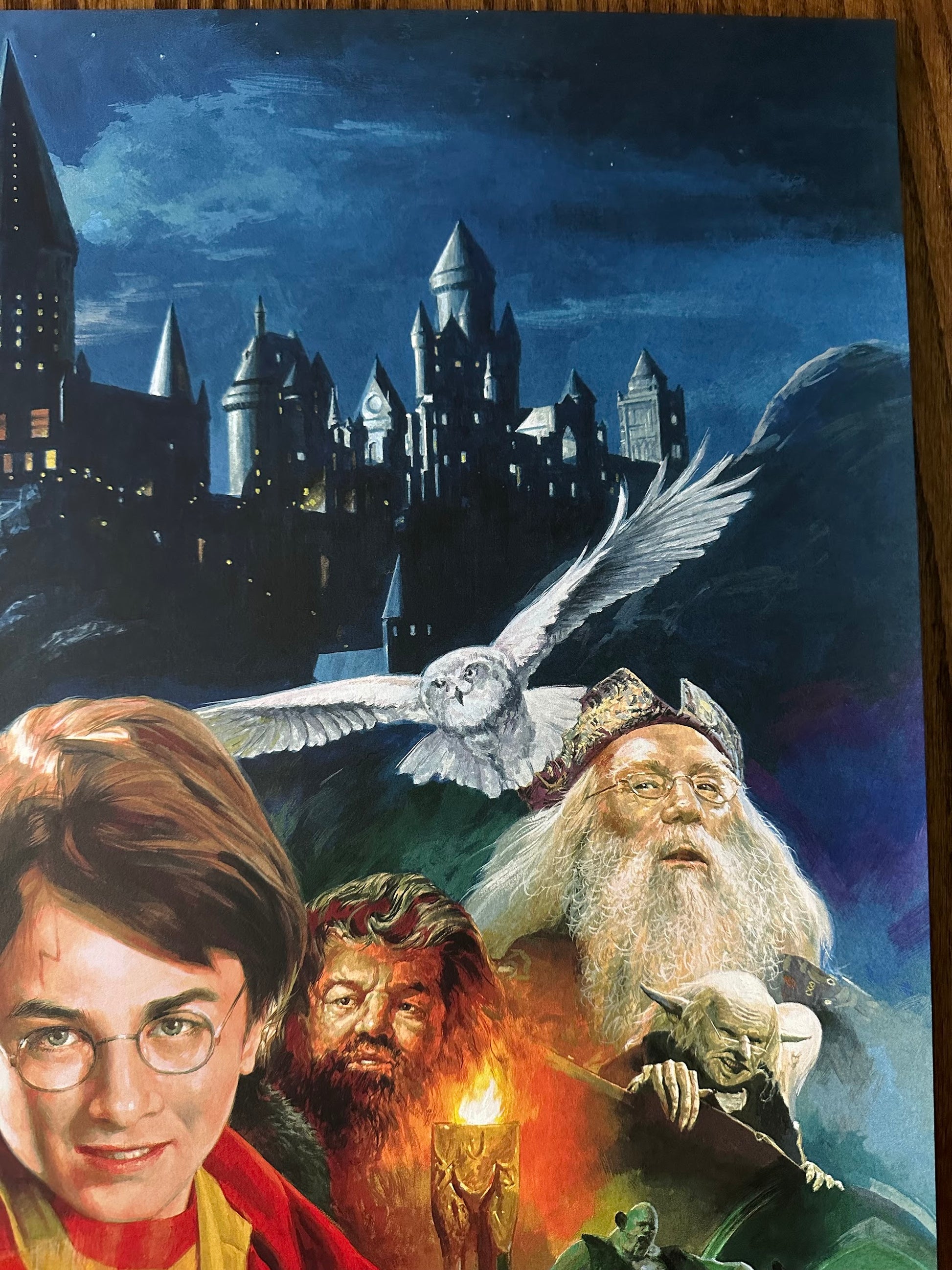 Banhan – Harry Potter & the Sorcerer's Stone, 24 x 36 in, poster, image 2