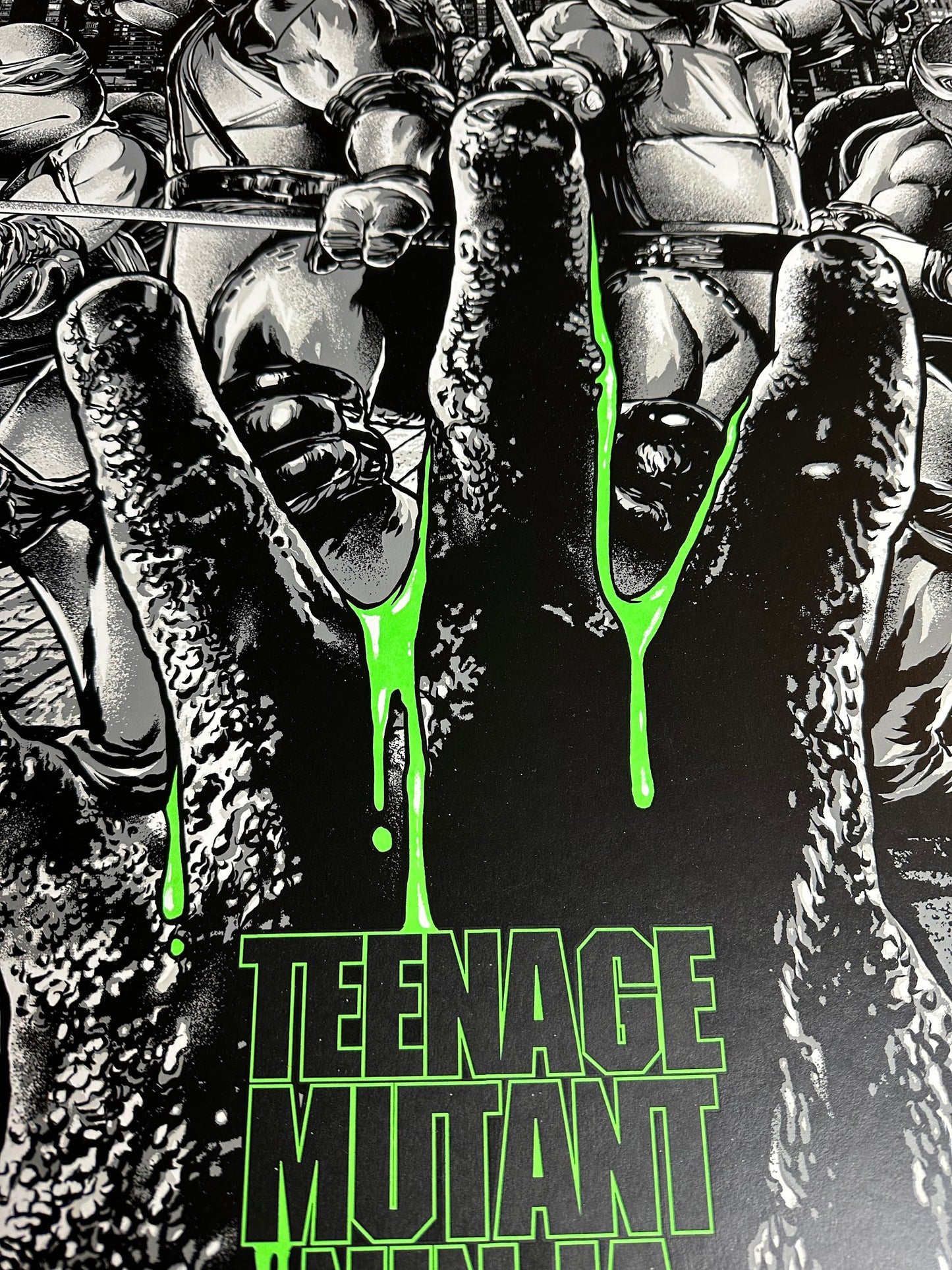 Anthony Petrie – Teenage Mutant Ninja Turtles 2 Variant, 24 x 36 in, poster, image 5