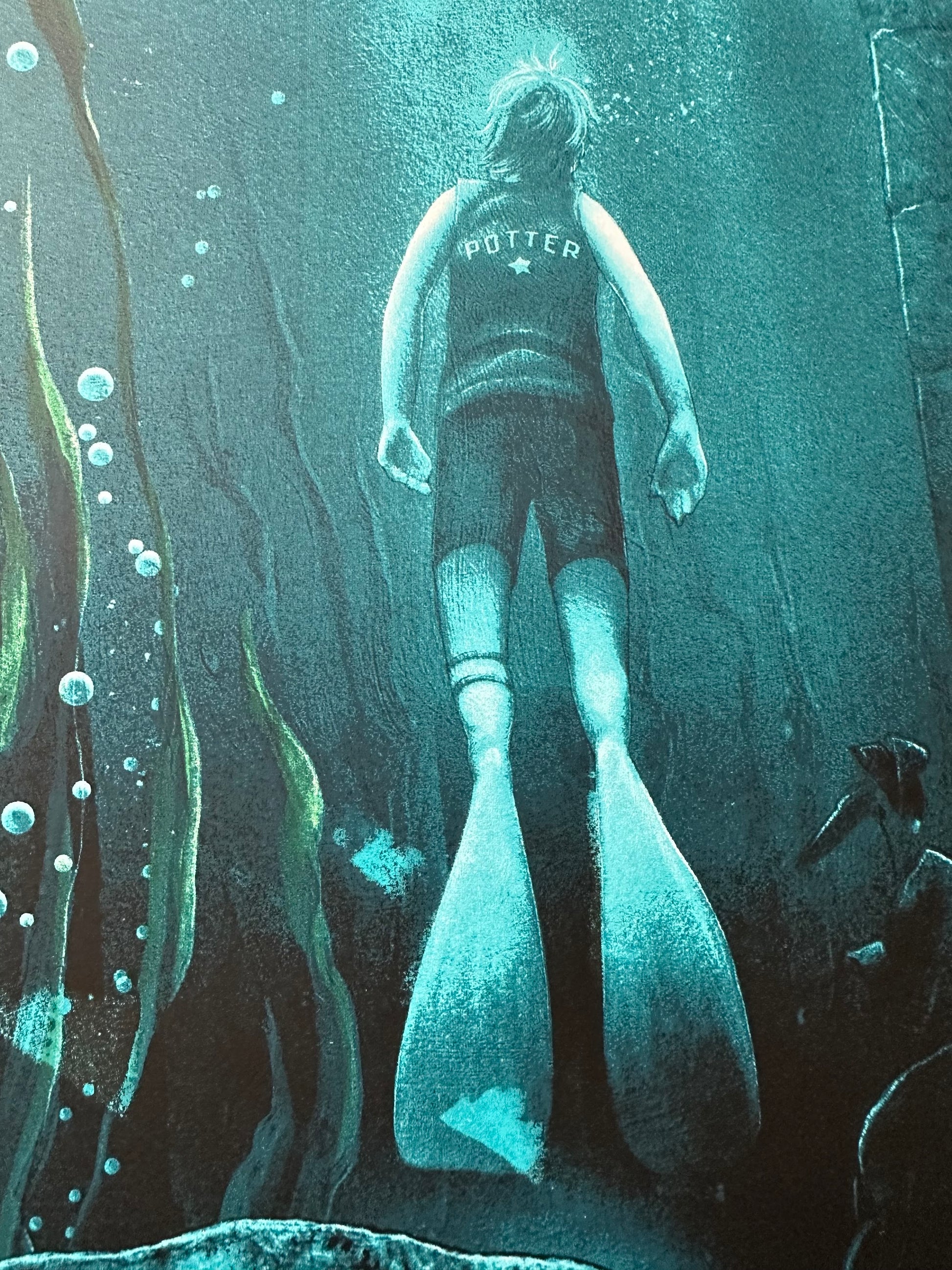 Kevin Wilson – Harry Potter & The Goblet of Fire, 24 x 36 in, poster, image 2