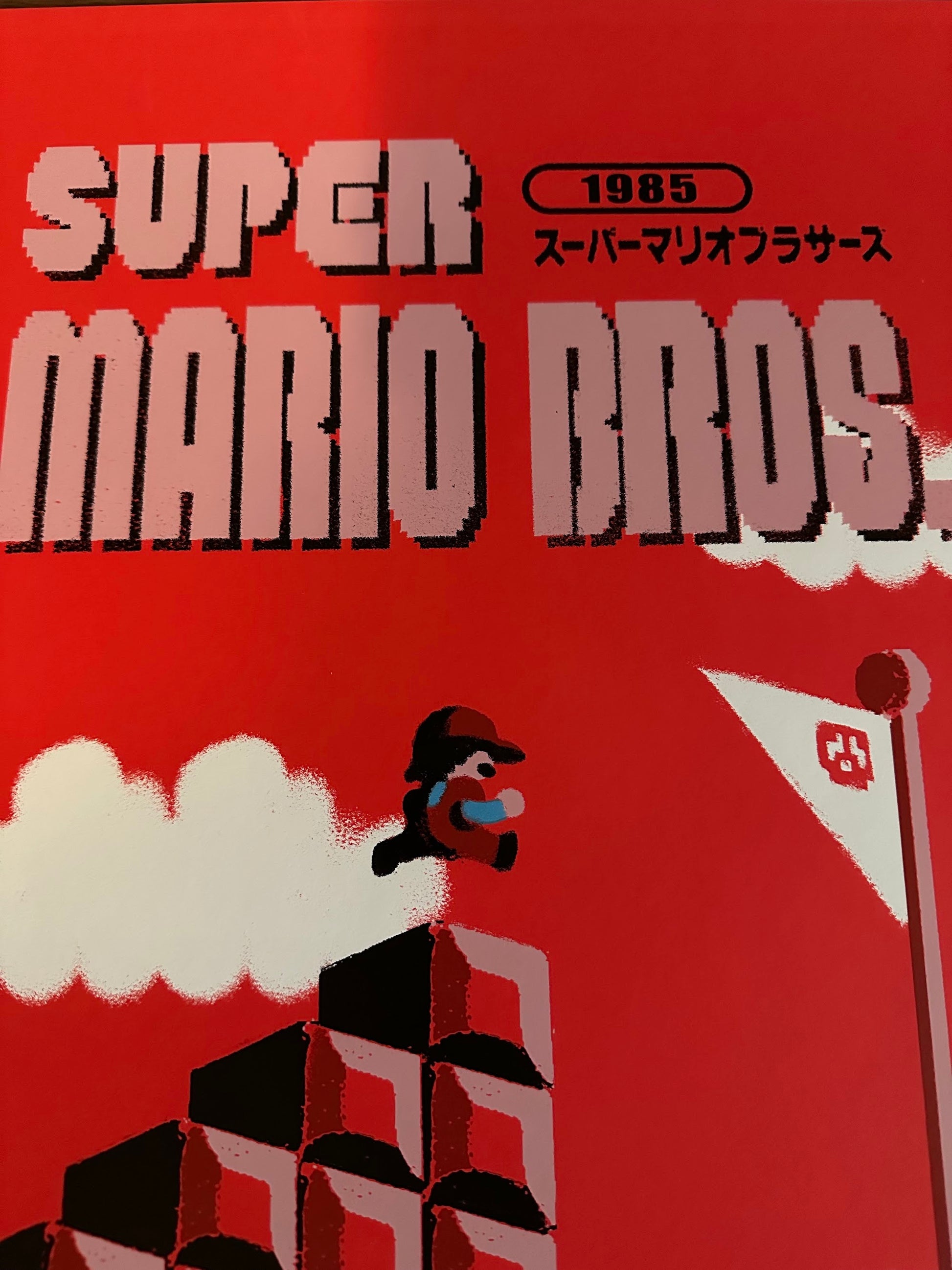 Lyndon Willoughby – Super Mario Bros, 16 x 24 in, art print, image 5