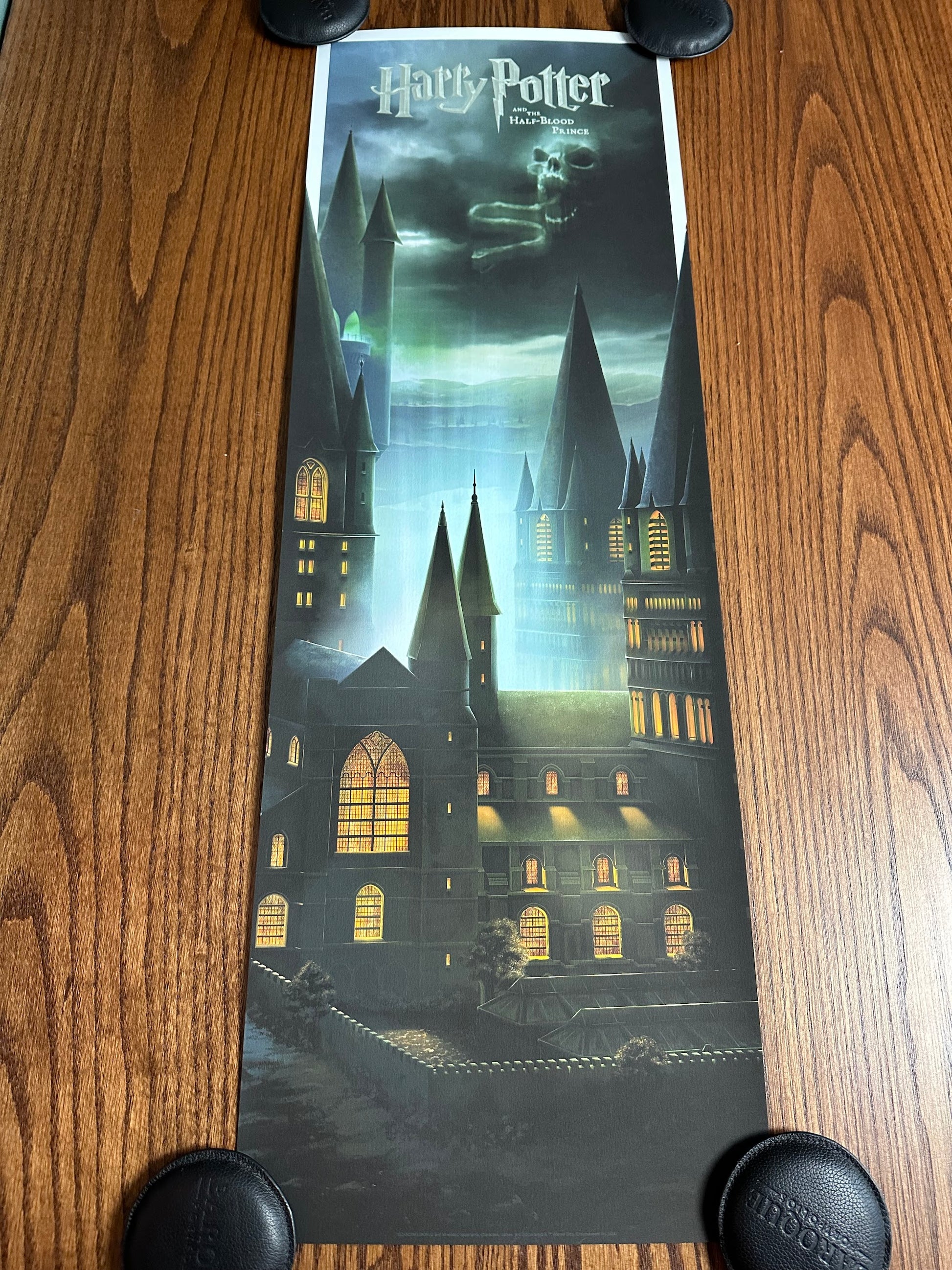 Ben Harman – Harry Potter and the Half Blood Prince, 12 x 36 in, art print