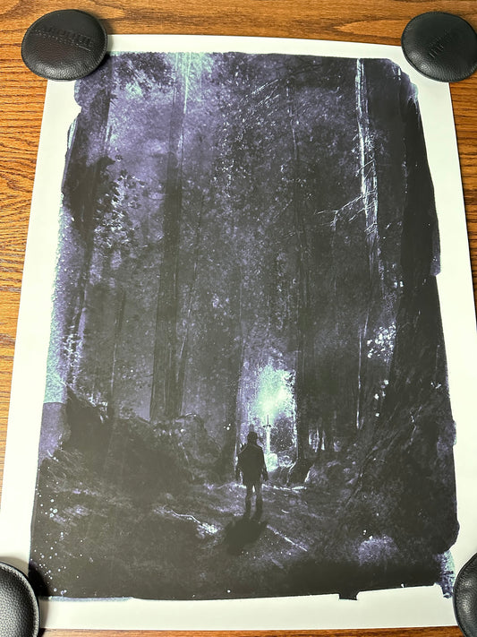 David Mahoney – Zelda Dark Link, 18 x 24 in, art print