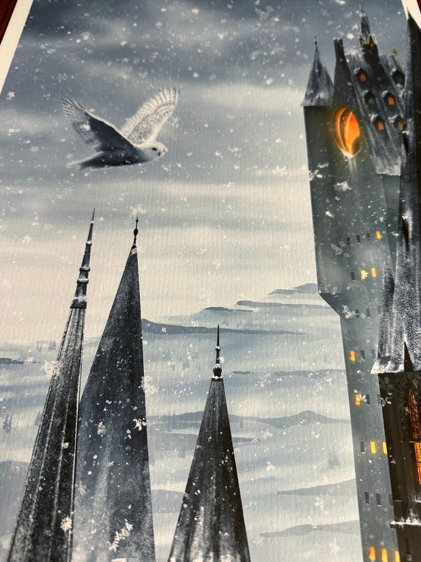 Ben Harman – Harry Potter and the Order of the Phoenix, 12 x 36 in, art print, image 4