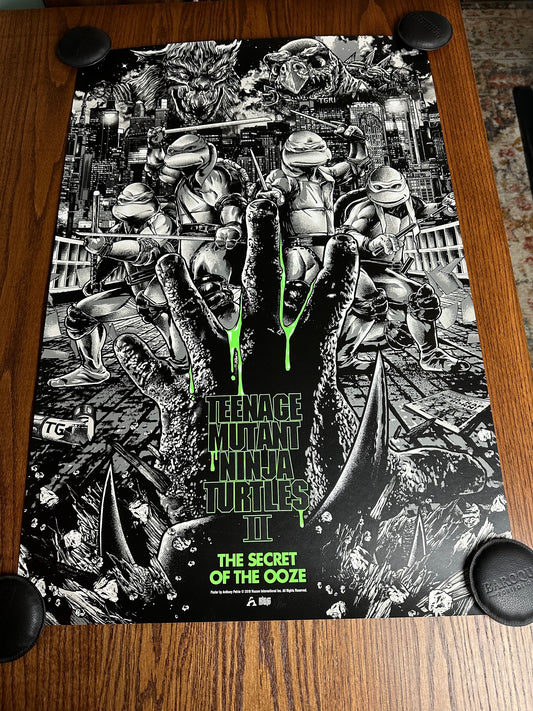 Anthony Petrie – Teenage Mutant Ninja Turtles 2 Variant, 24 x 36 in, poster
