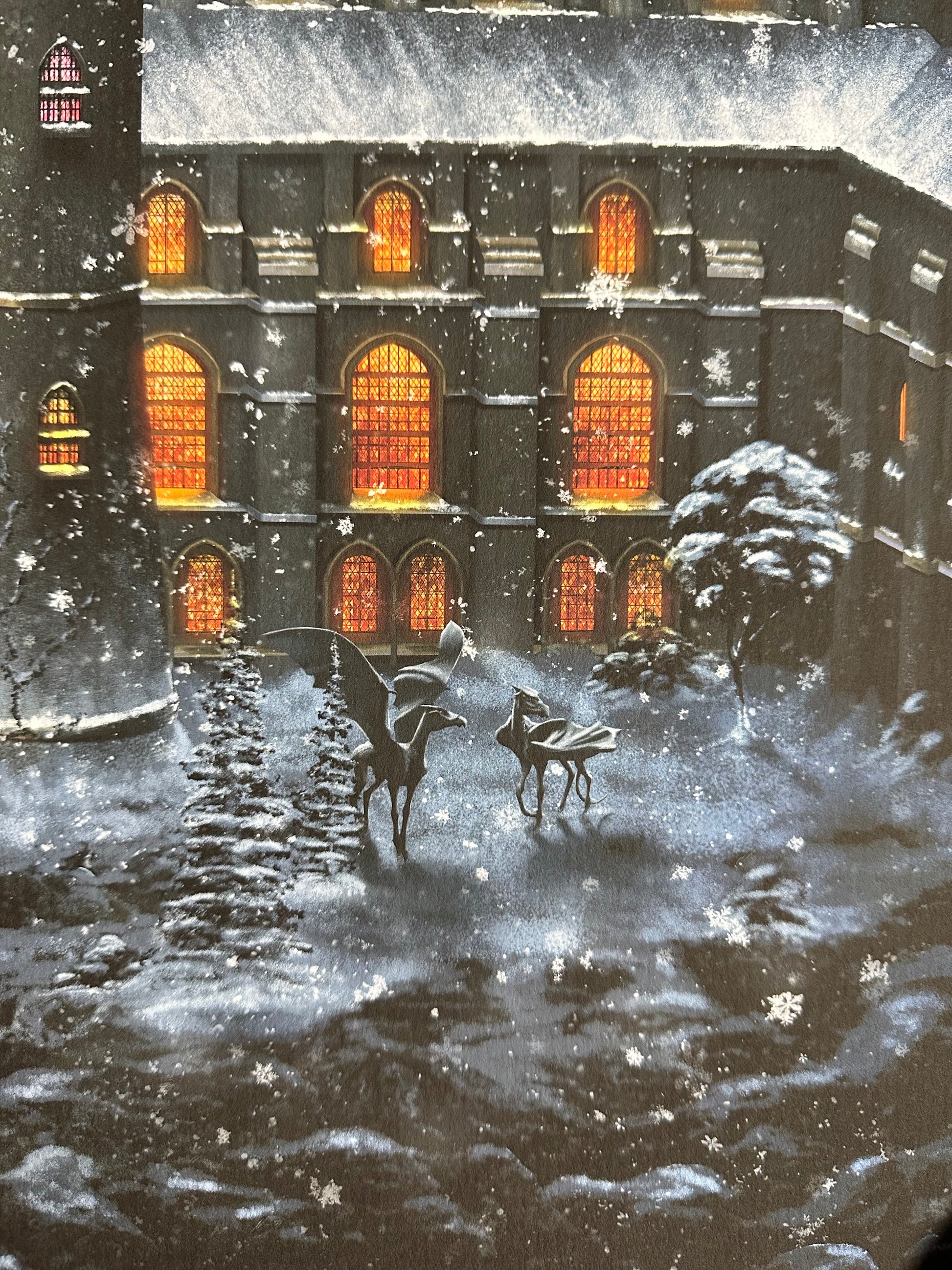 Ben Harman – Harry Potter and the Order of the Phoenix, 12 x 36 in, art print, image 6