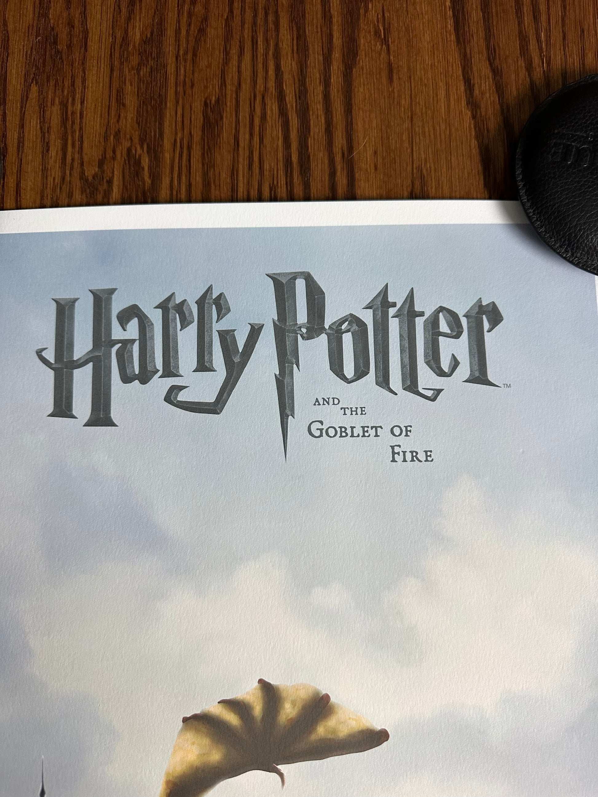 Ben Harman – Harry Potter and the Goblet of Fire, 12 x 36 in, art print, image 2