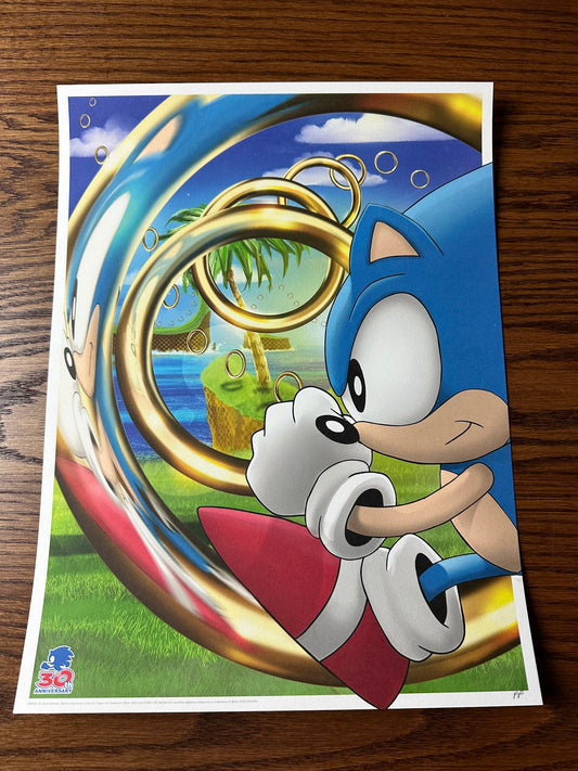 Andy Fairhurst – Sonic the Hedgehog, 12 x 16 in, art print