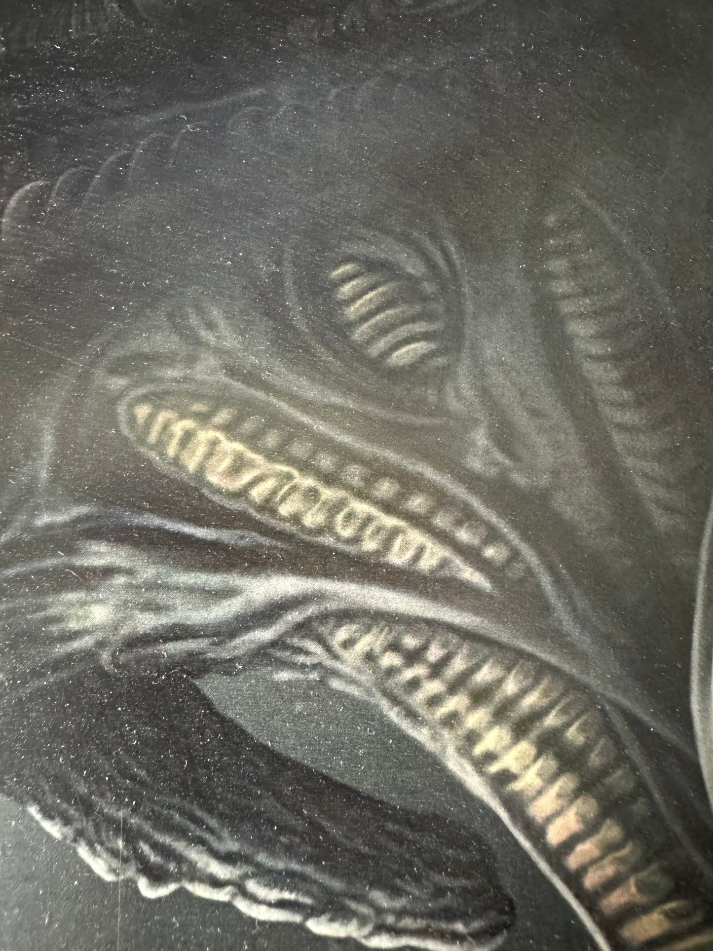 Pablo Olivera – Alien Romulus, 12 x 18 in, art print, image 4