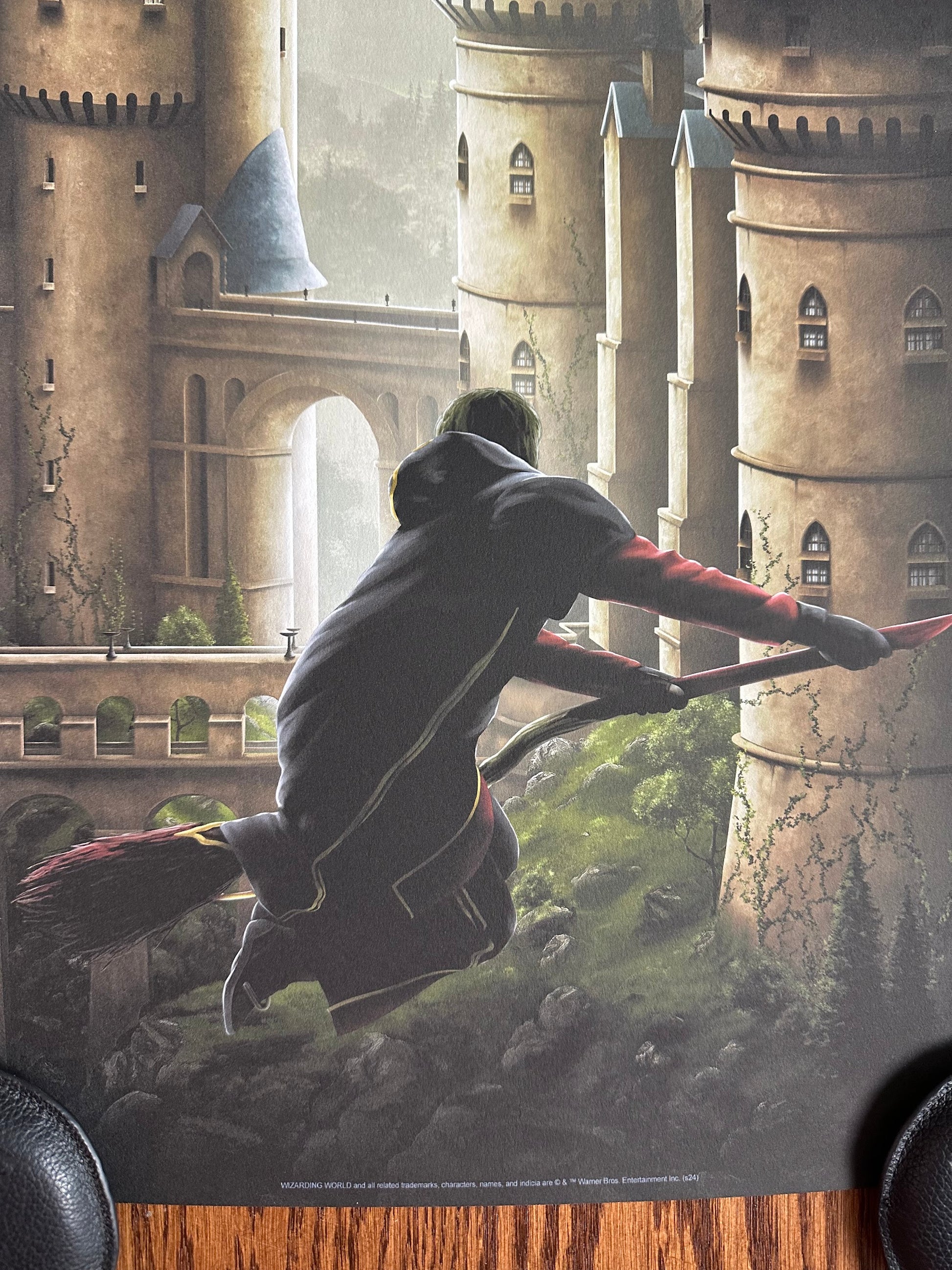 Ben Harman – Harry Potter and the Goblet of Fire, 12 x 36 in, art print, image 5