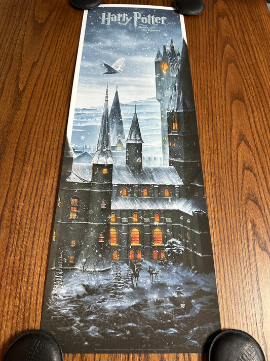 Ben Harman – Harry Potter and the Order of the Phoenix, 12 x 36 in, art print