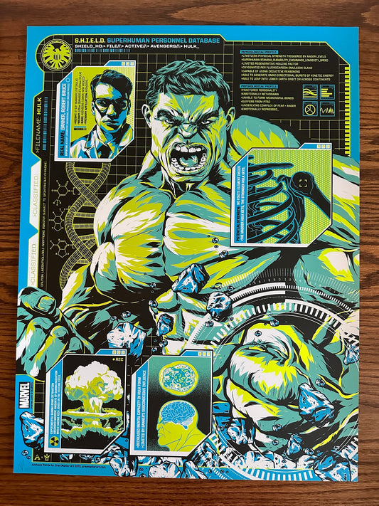 Anthony Petrie – Shield Files Hulk, 18 x 24 in, art print, image 4