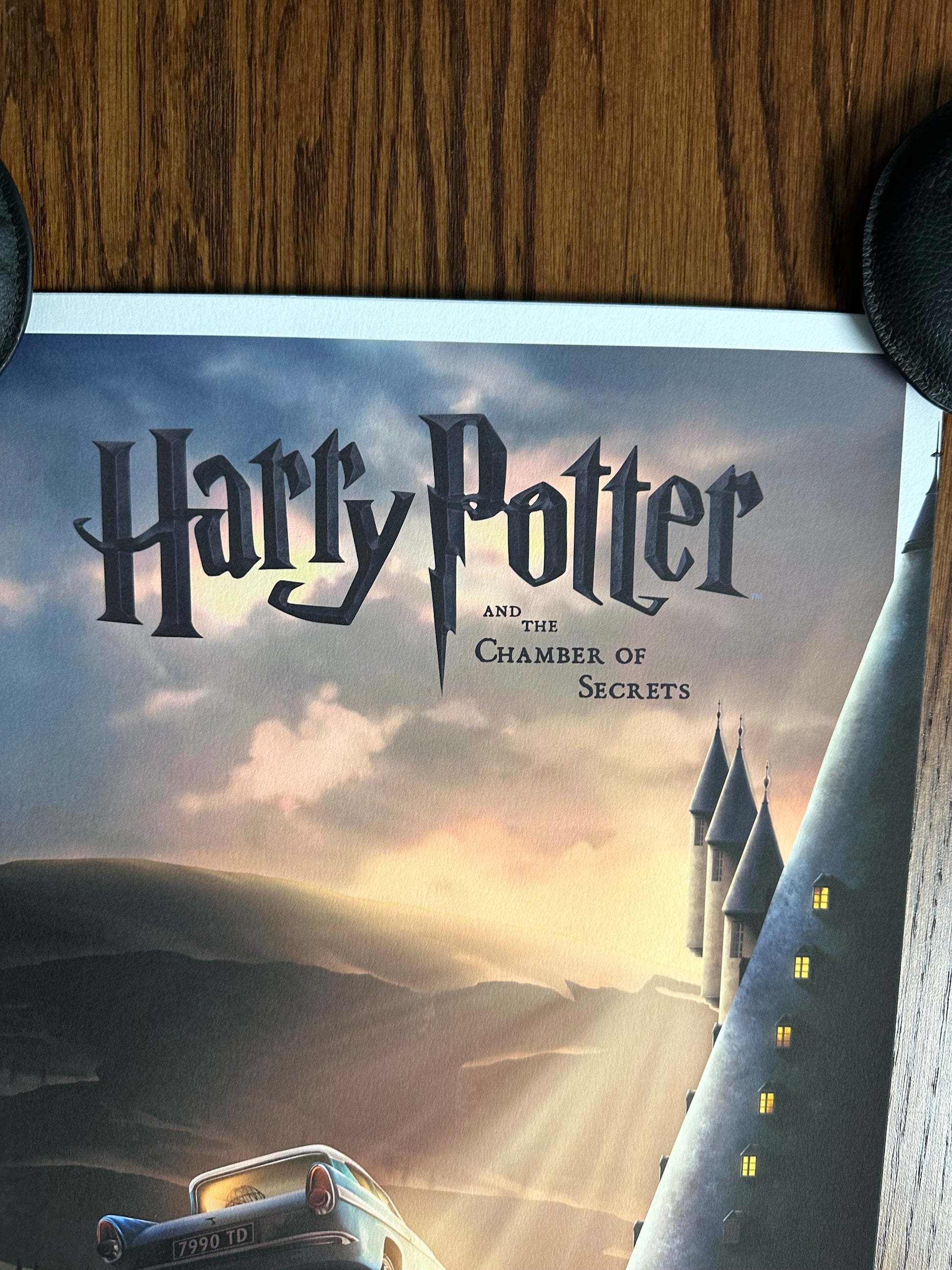 Ben Harman – Harry Potter and the Chamber of Secrets, 12 x 36 in, art print, image 2