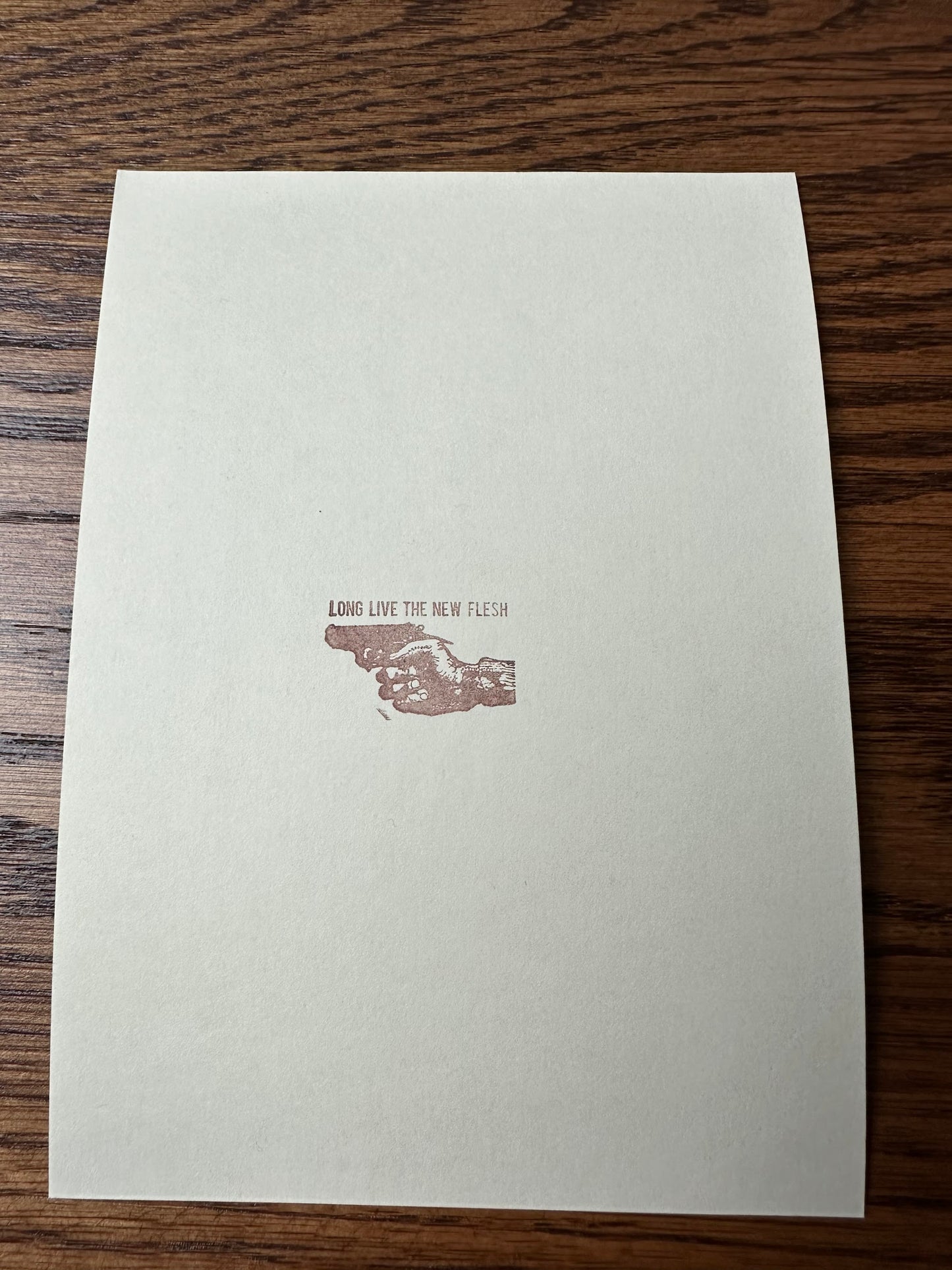 New Flesh – Terminator 2 John Connor Handbill, 5 x 7 in, art print, image 3