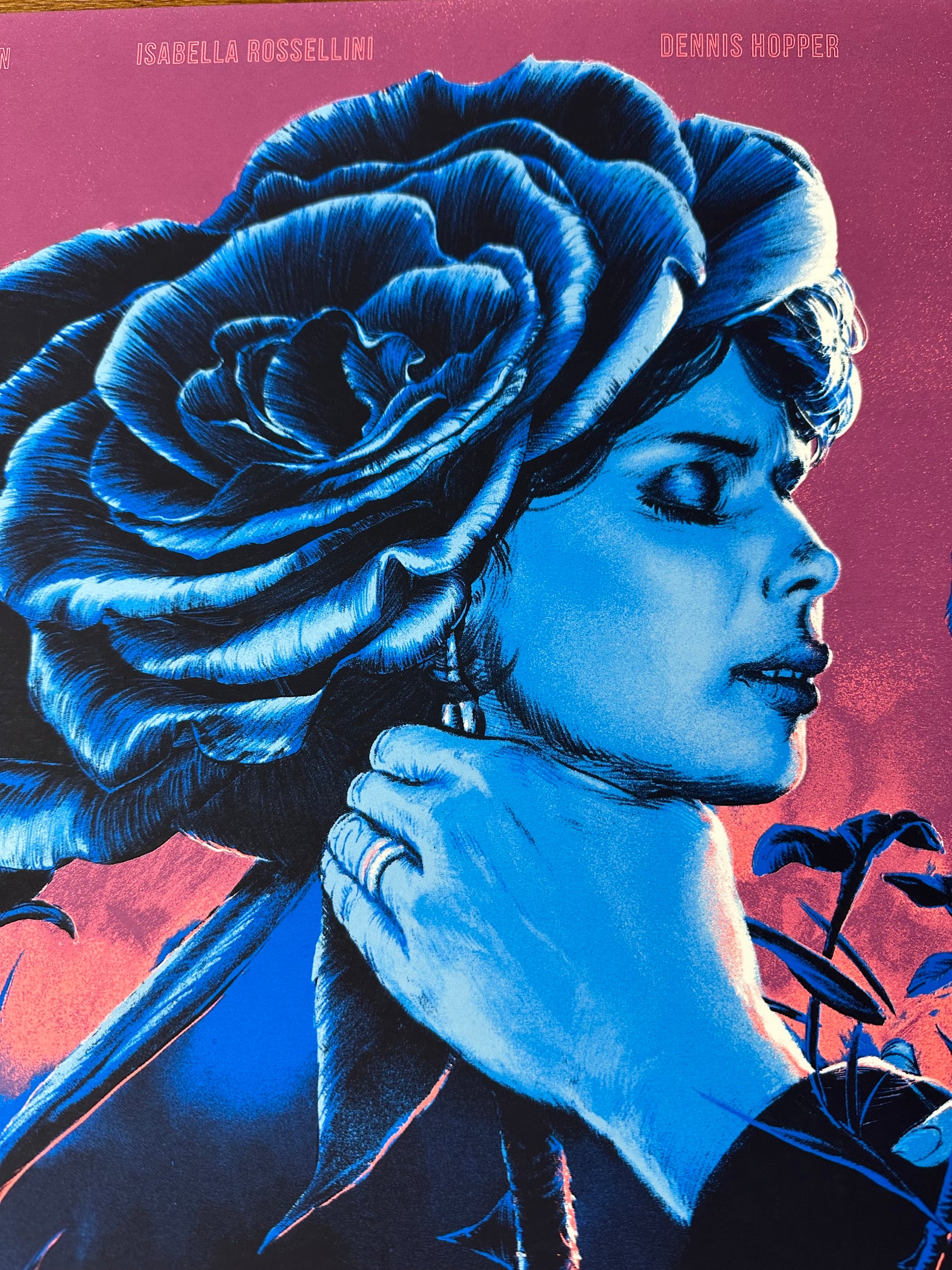 Juan Esteban – Blue Velvet, 18 x 24 in, art print, image 2