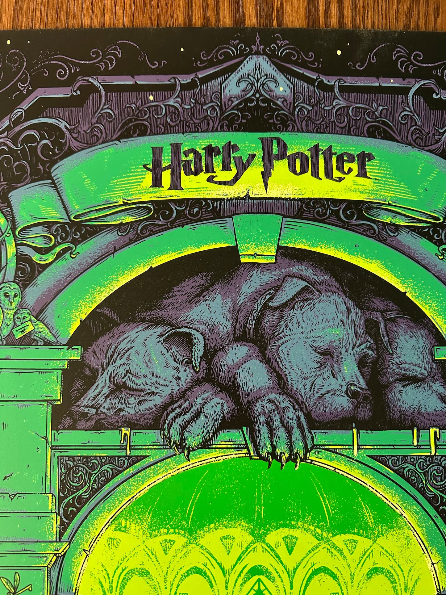 Alex Hovey – Harry Potter and the Scorcerer's Stone, 24 x 36 in, poster, image 2