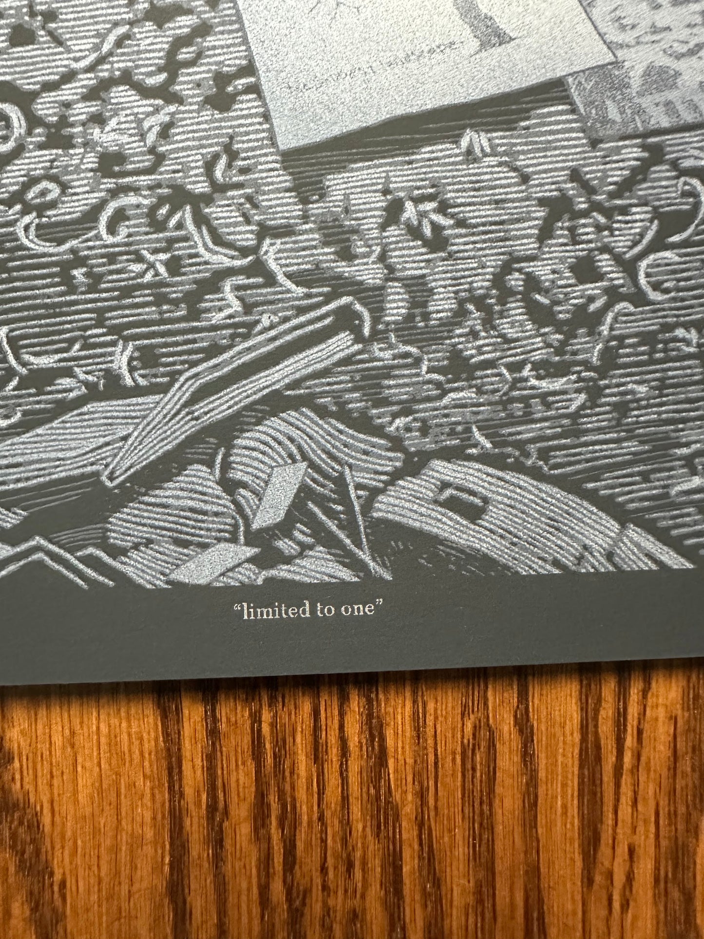 Daniel Danger – Record Room "Limited to One", 18 x 24 in, art print, image 6