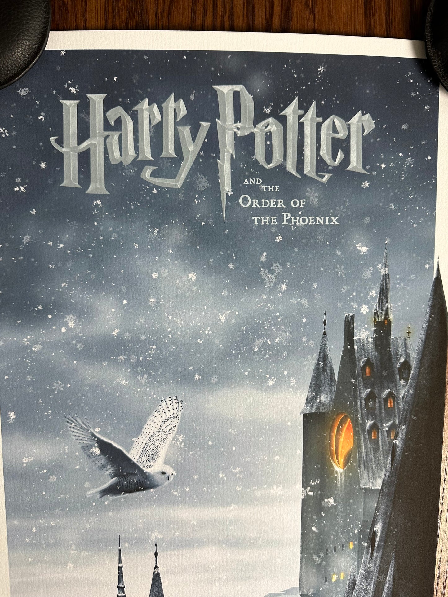 Ben Harman – Harry Potter and the Order of the Phoenix, 12 x 36 in, art print, image 2
