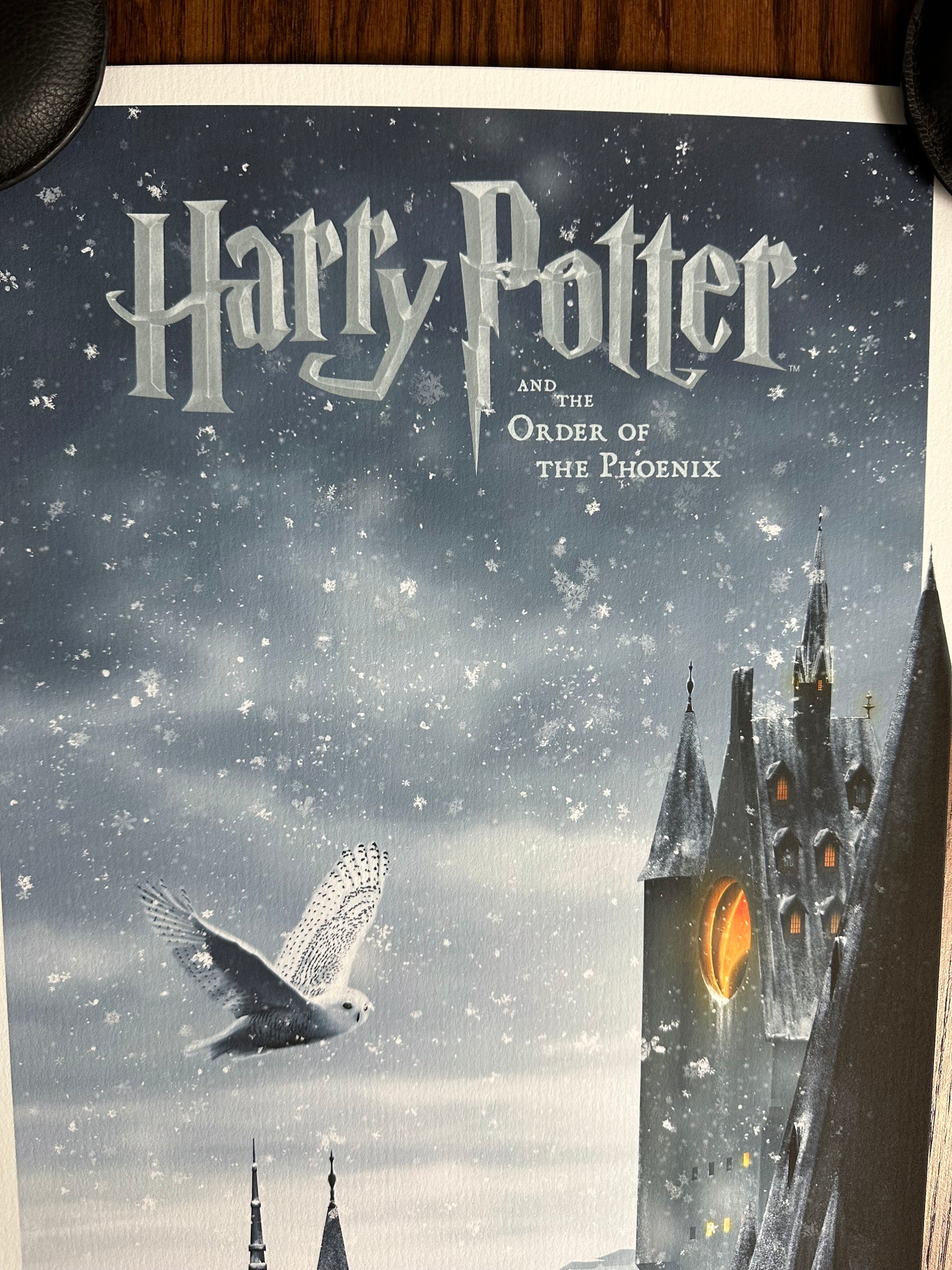 Ben Harman – Harry Potter and the Order of the Phoenix, 12 x 36 in, art print, image 2