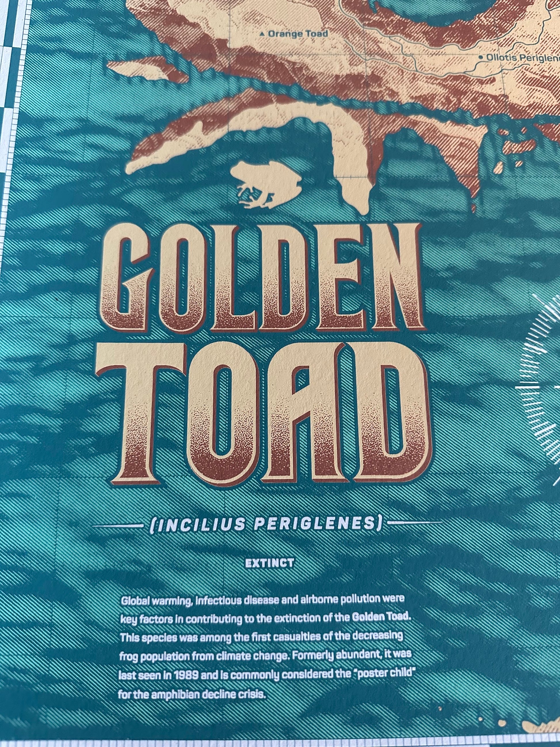 Anthony Petrie – Golden Toad Map, 18 x 24 in, art print, image 2