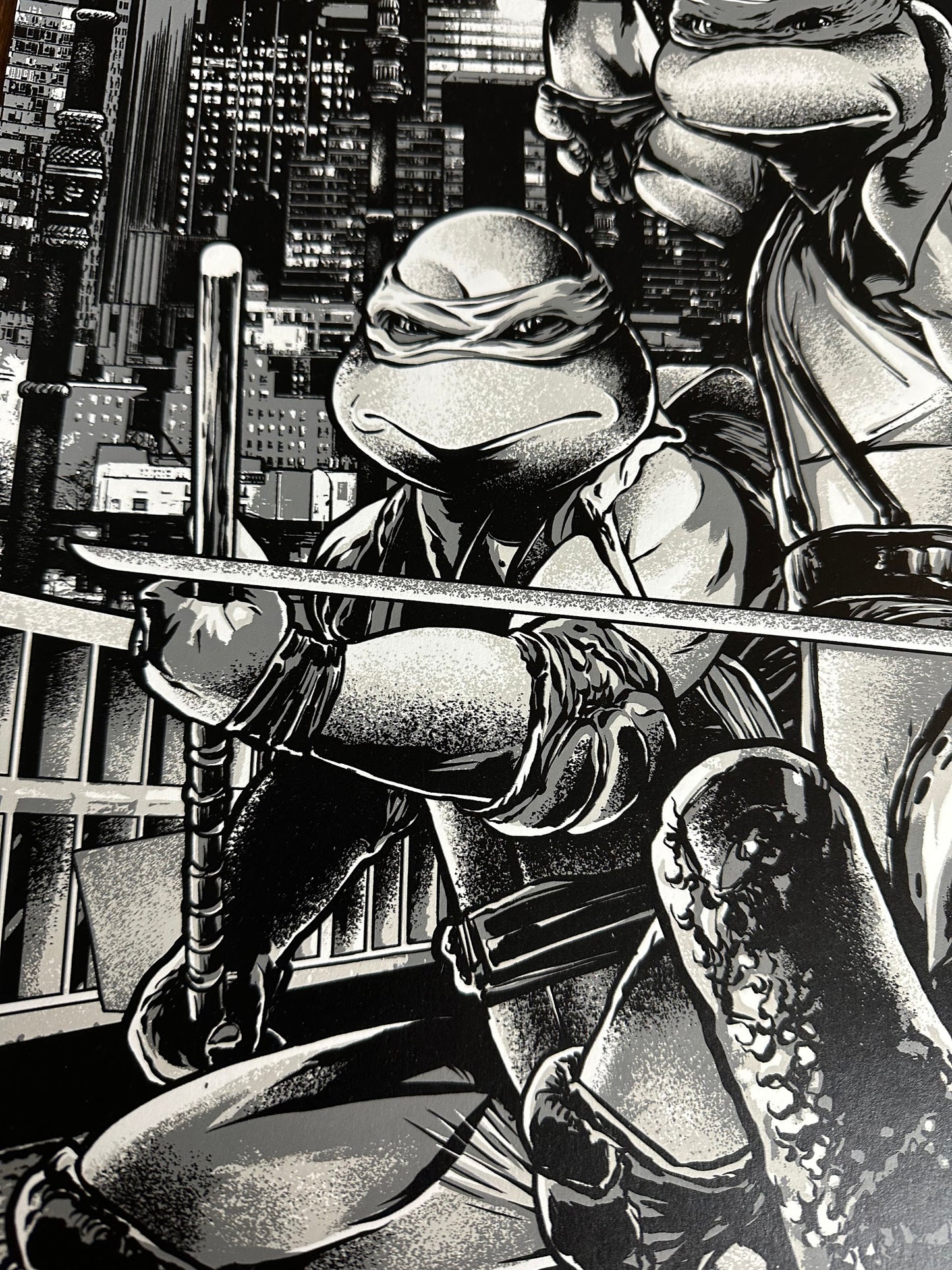 Anthony Petrie – Teenage Mutant Ninja Turtles 2 Variant, 24 x 36 in, poster, image 3