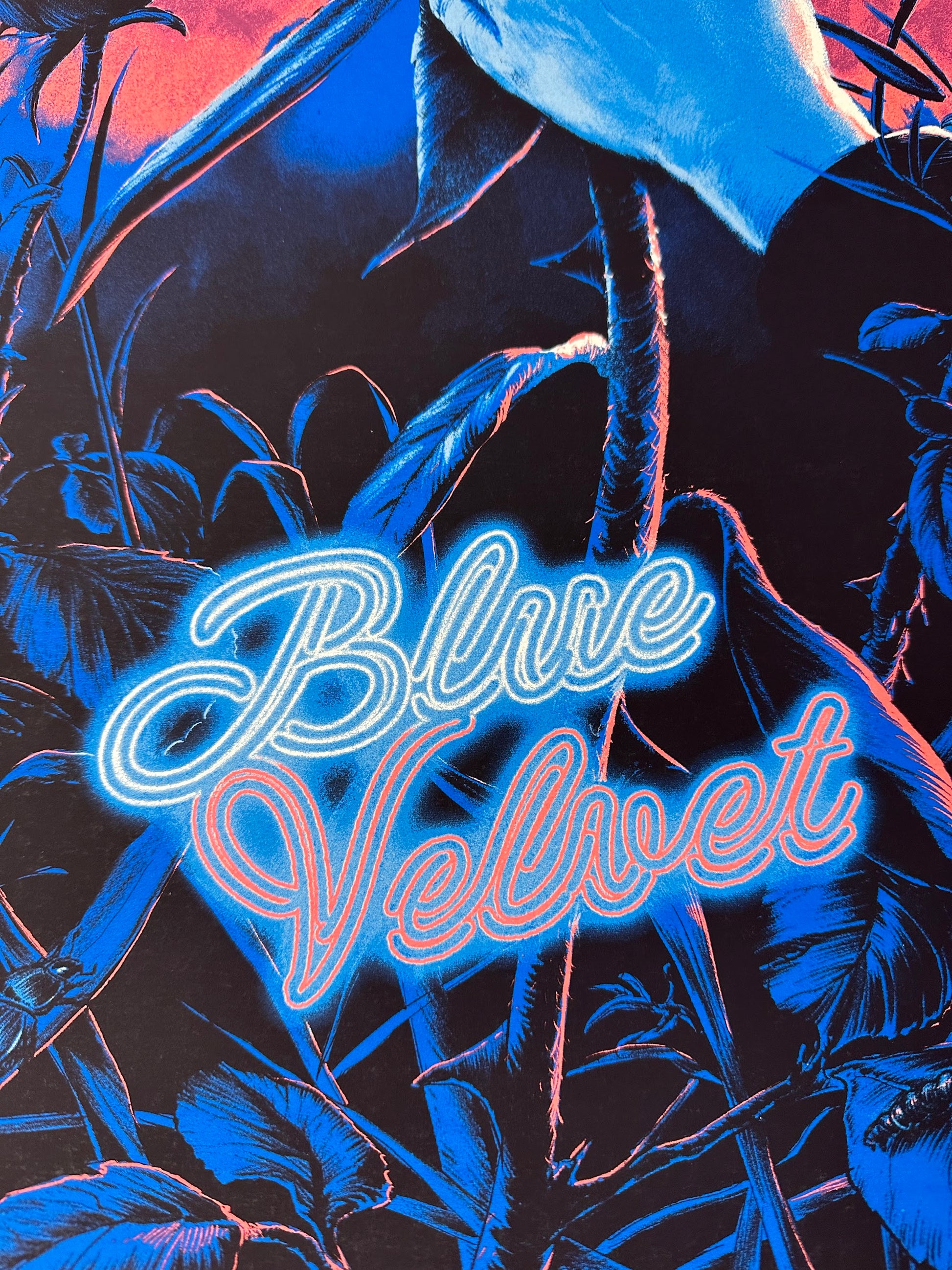 Juan Esteban – Blue Velvet, 18 x 24 in, art print, image 3
