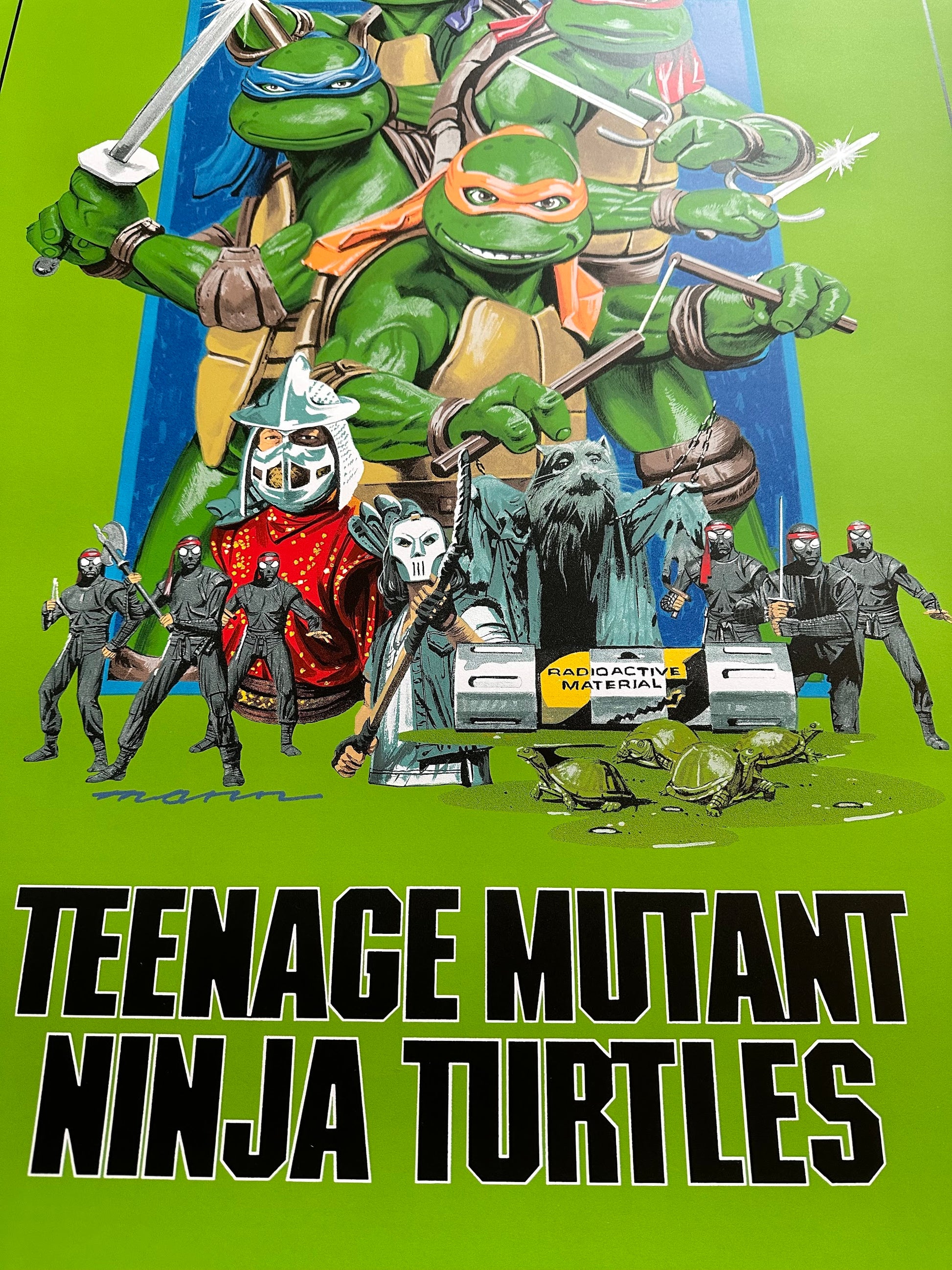 Paul Mann – Teenage Mutant Ninja Turtles Green Variant, 24 x 36 in, poster, image 2