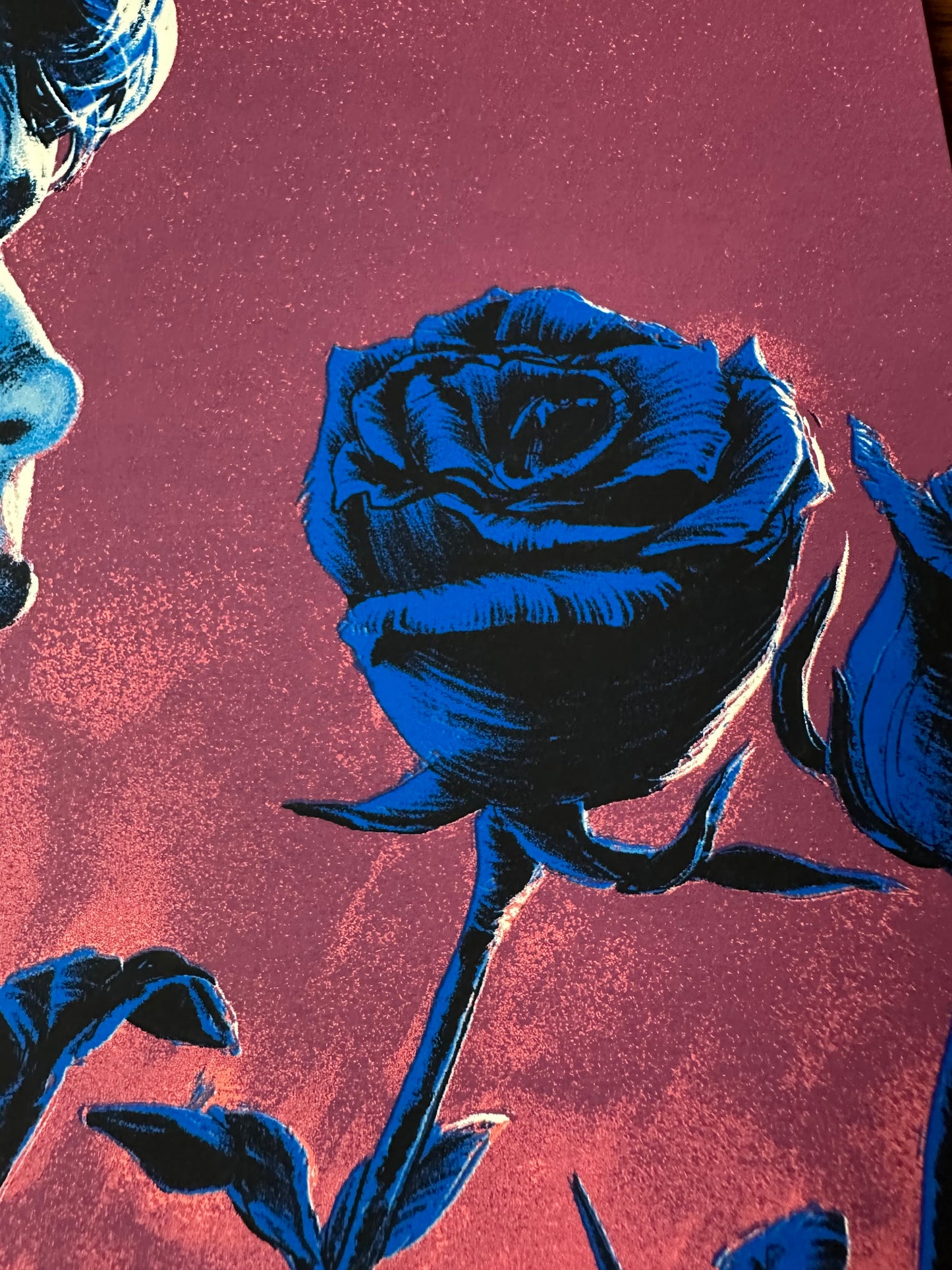 Juan Esteban – Blue Velvet, 18 x 24 in, art print, image 4